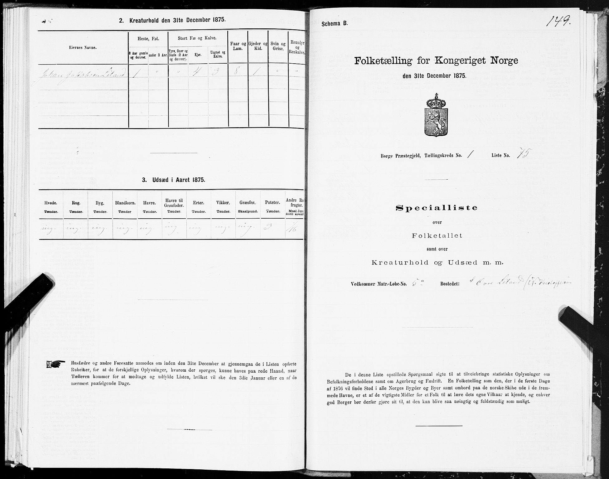 SAT, 1875 census for 1862P Borge, 1875, p. 1149