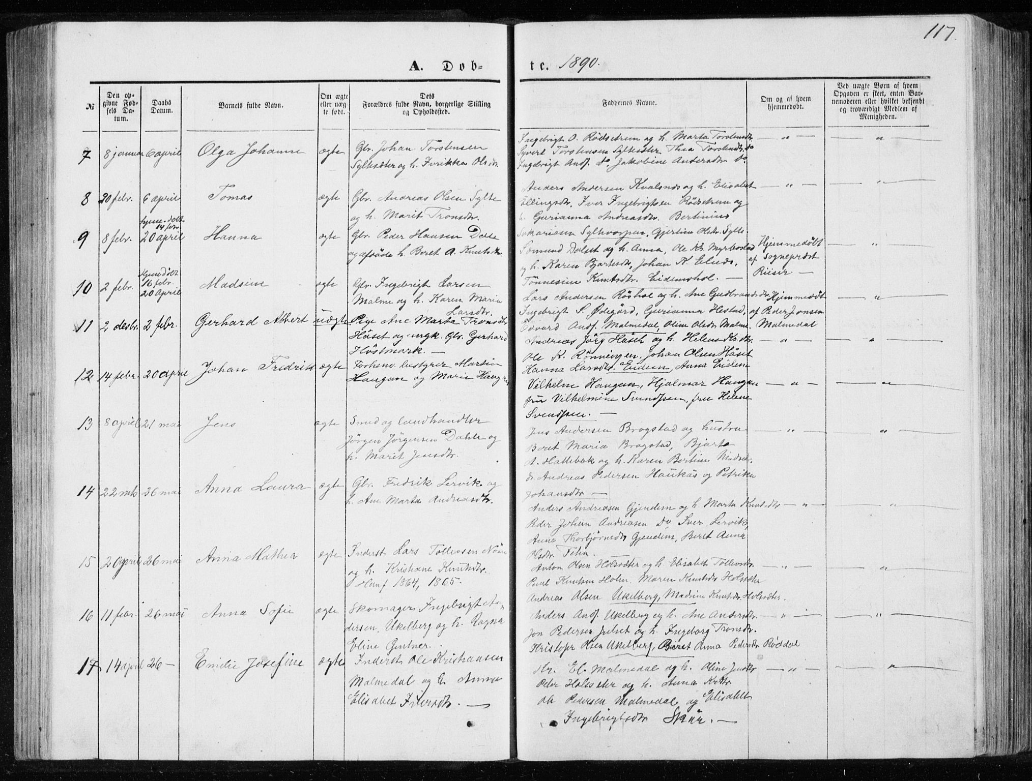 Ministerialprotokoller, klokkerbøker og fødselsregistre - Møre og Romsdal, AV/SAT-A-1454/565/L0754: Parish register (copy) no. 565C03, 1870-1896, p. 117