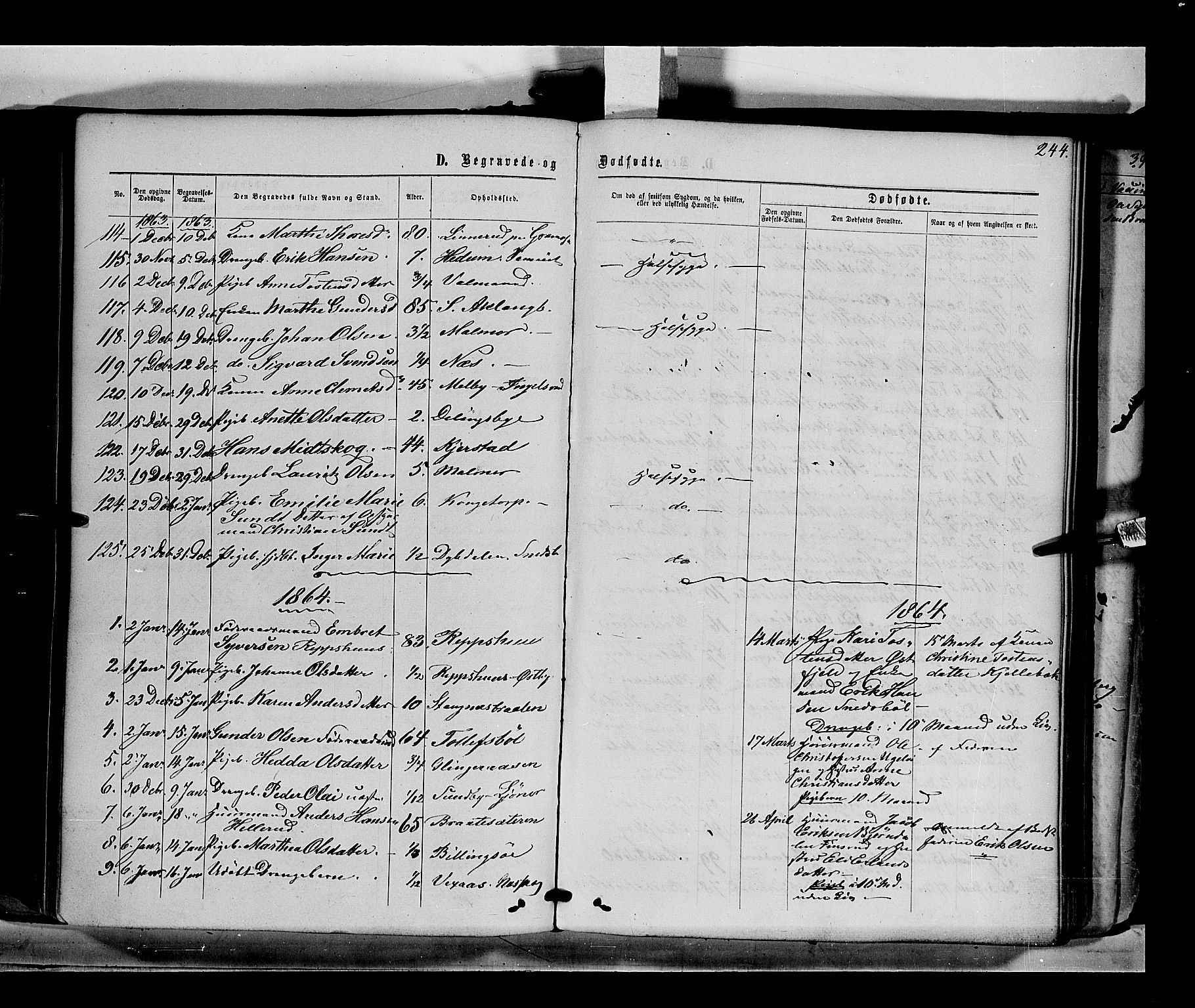 Eidskog prestekontor, AV/SAH-PREST-026/H/Ha/Haa/L0001: Parish register (official) no. 1, 1860-1867, p. 244