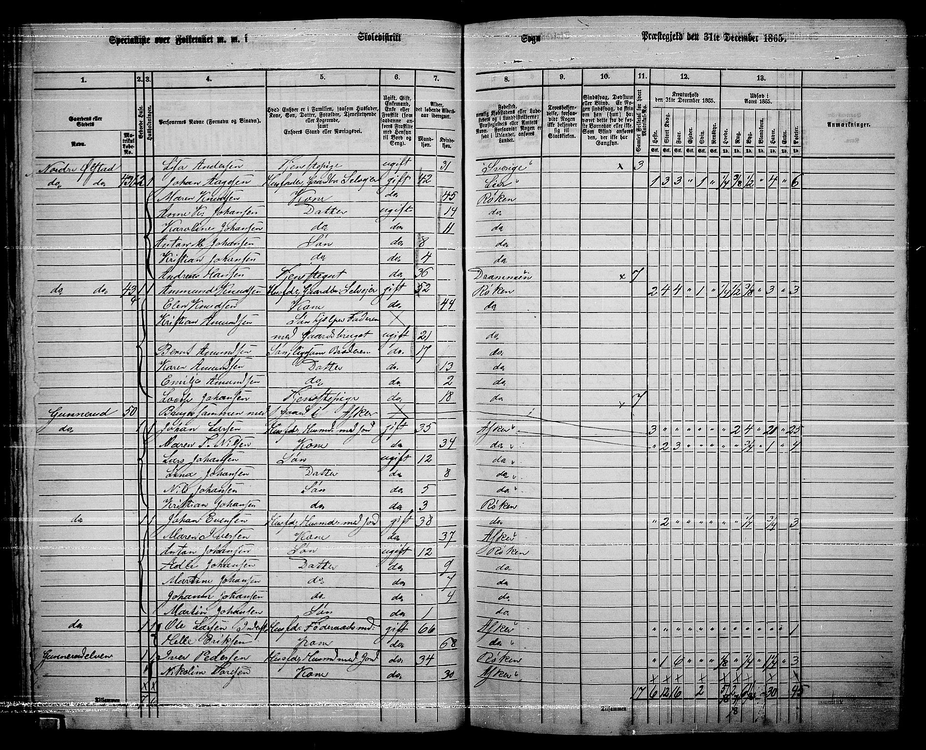 RA, 1865 census for Røyken, 1865, p. 66