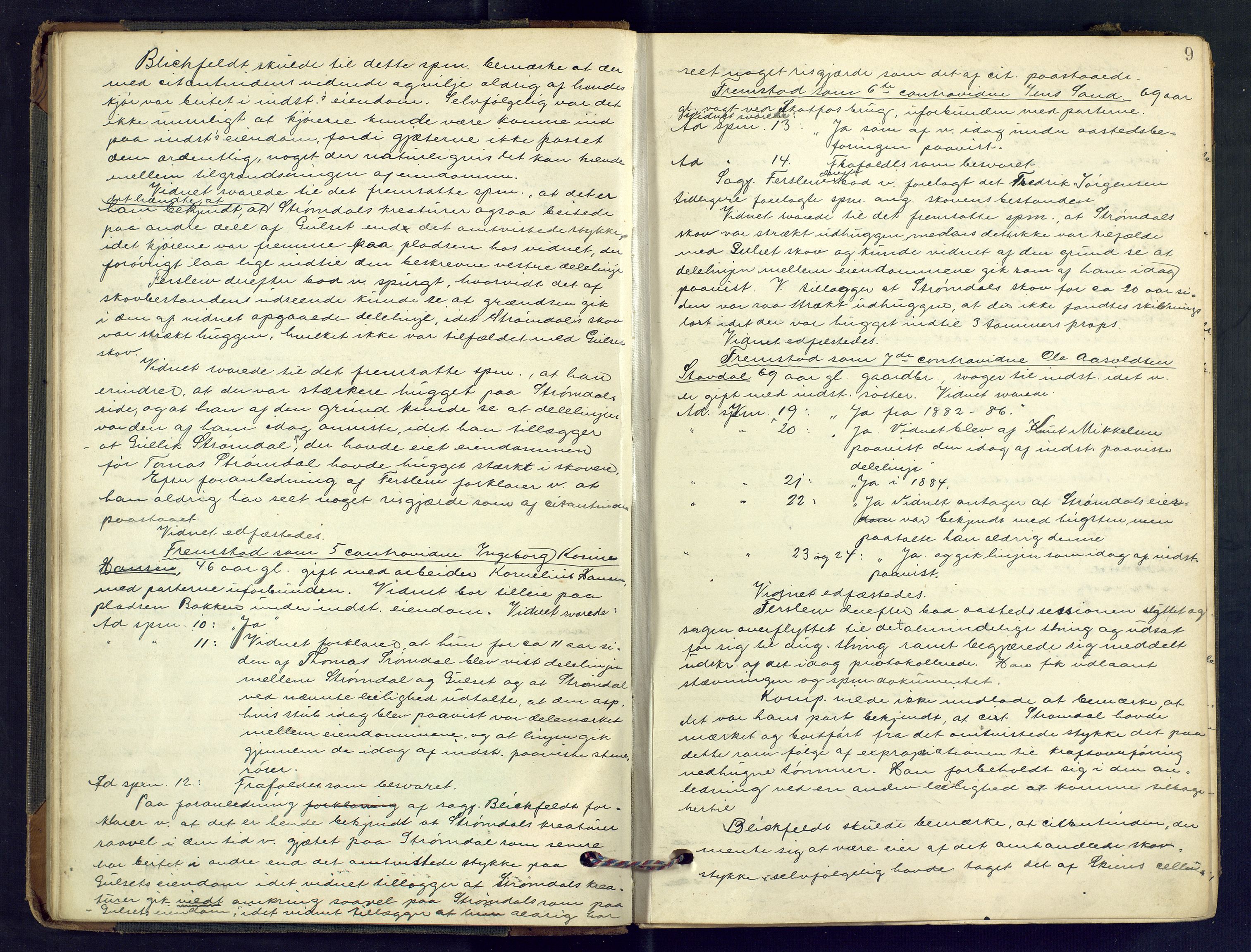 Gjerpen sorenskriveri, AV/SAKO-A-216/F/Fb/L0017: Ekstrarettsprotokoll, 1901-1903, p. 9