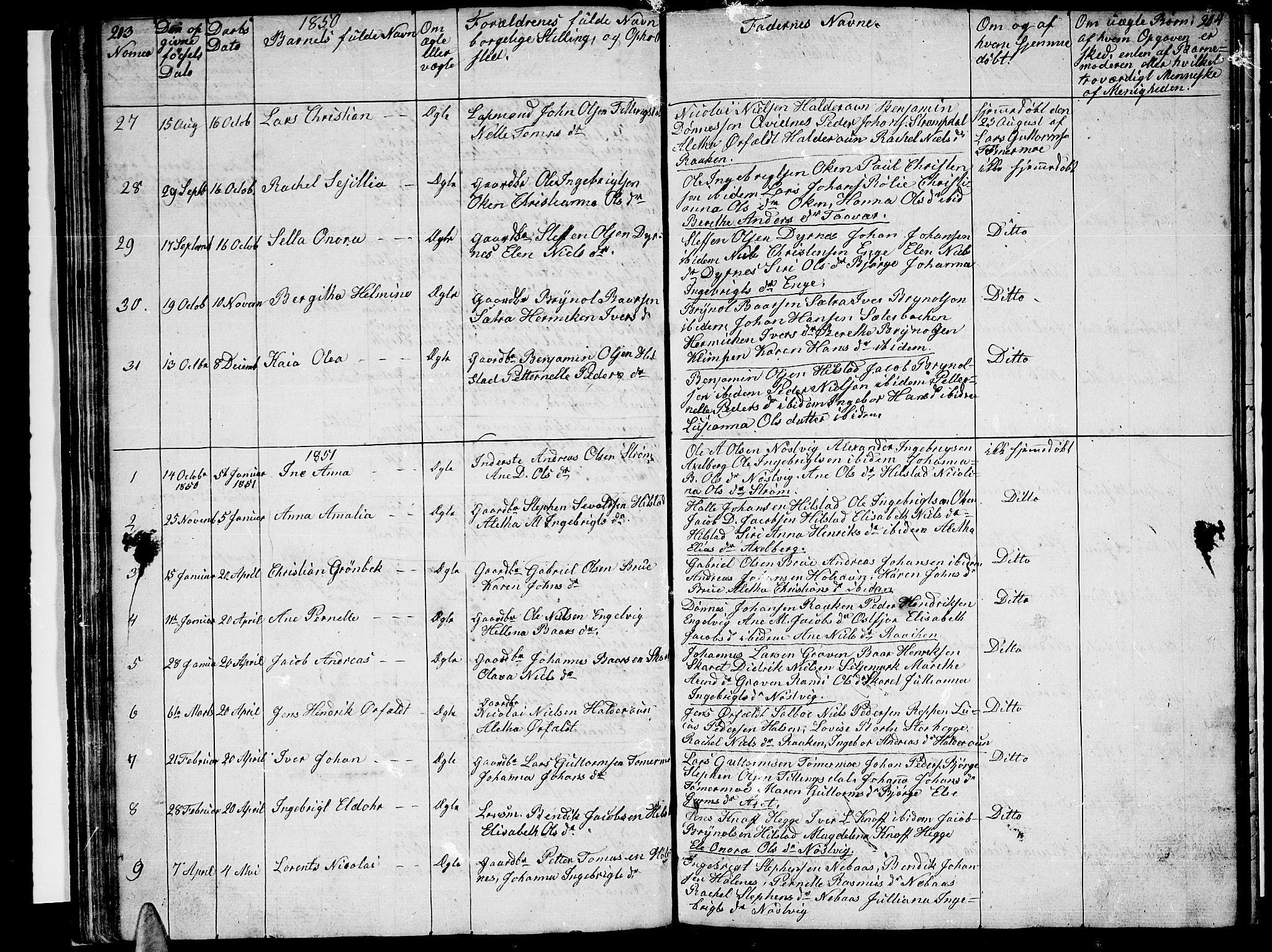 Ministerialprotokoller, klokkerbøker og fødselsregistre - Nordland, AV/SAT-A-1459/814/L0228: Parish register (copy) no. 814C01, 1838-1858, p. 203-204