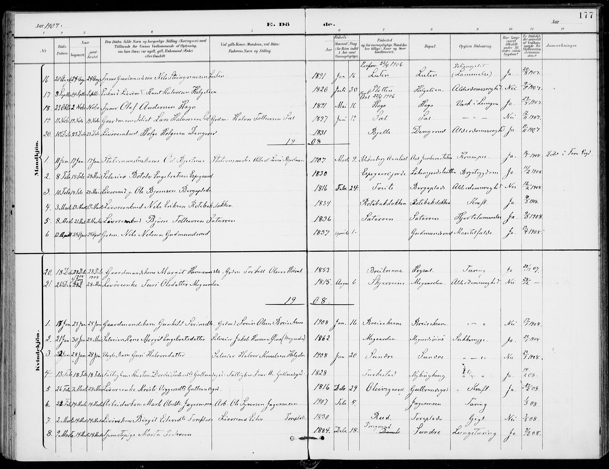 Ål kirkebøker, SAKO/A-249/F/Fa/L0009: Parish register (official) no. I 9, 1897-1915, p. 177