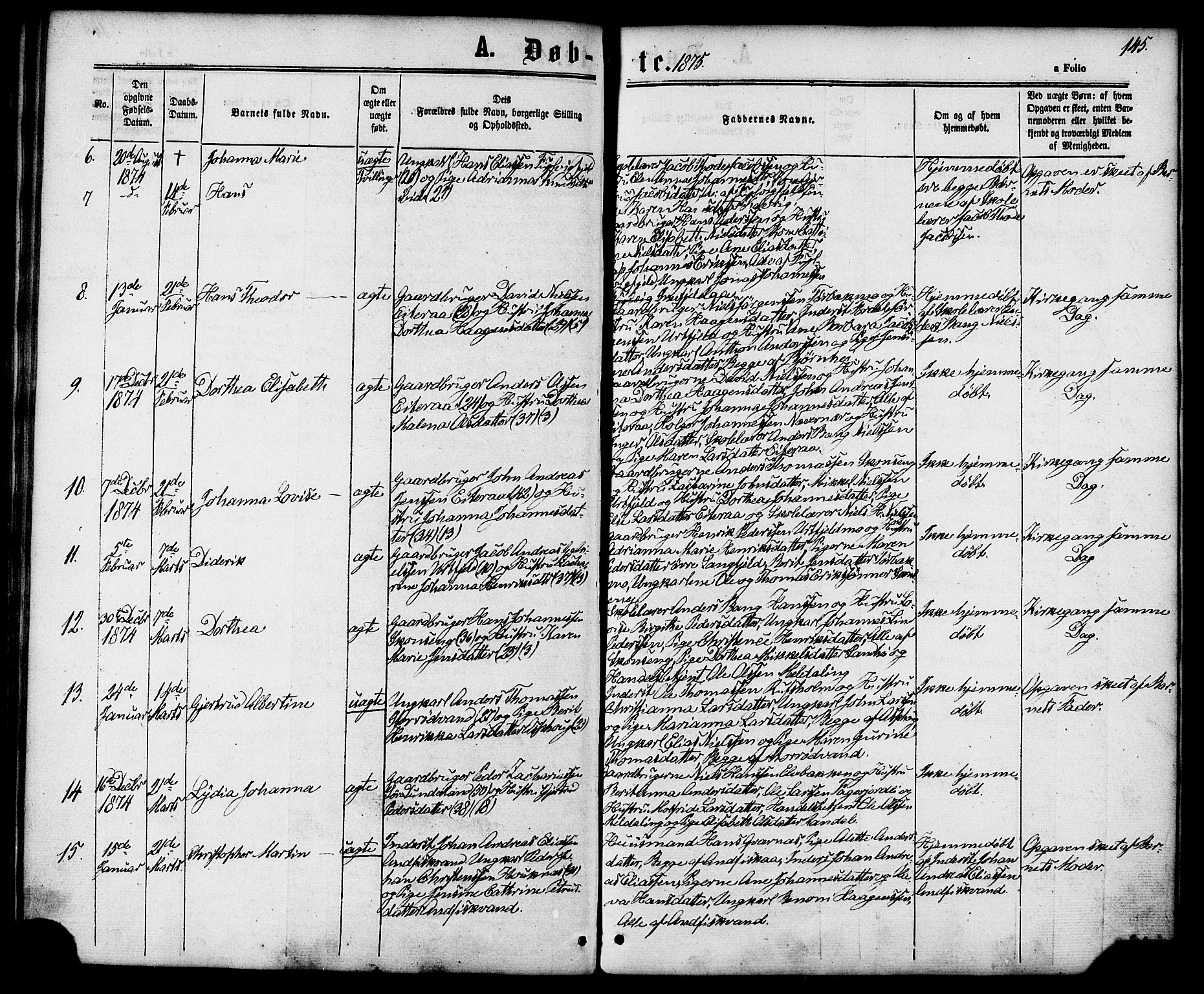 Ministerialprotokoller, klokkerbøker og fødselsregistre - Nordland, AV/SAT-A-1459/827/L0393: Parish register (official) no. 827A05, 1863-1883, p. 145