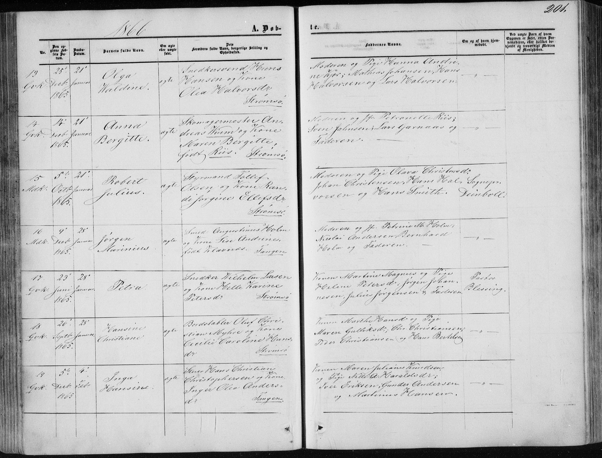 Strømsø kirkebøker, AV/SAKO-A-246/F/Fa/L0015: Parish register (official) no. I 15, 1859-1868, p. 201