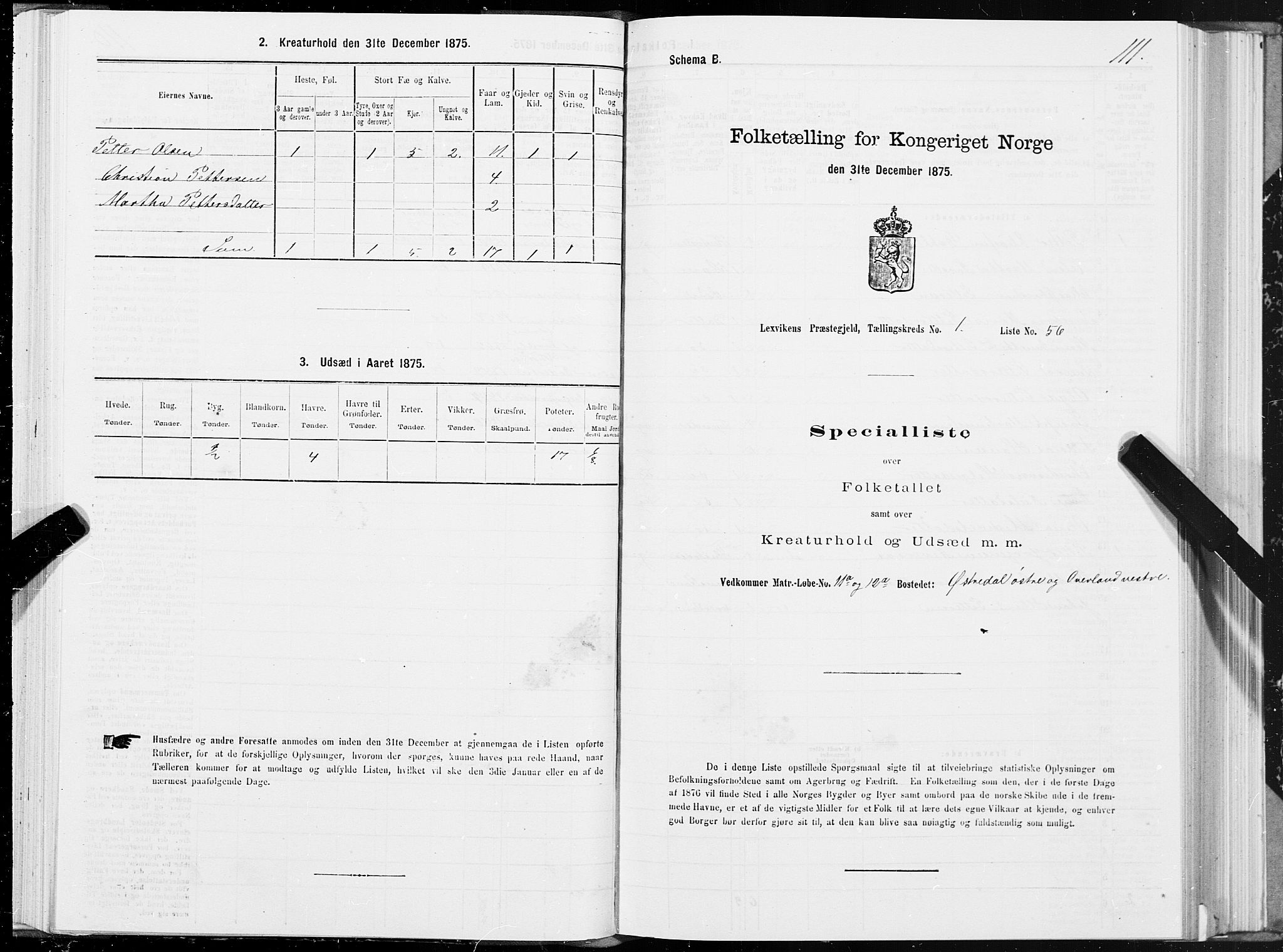SAT, 1875 census for 1718P Leksvik, 1875, p. 1111