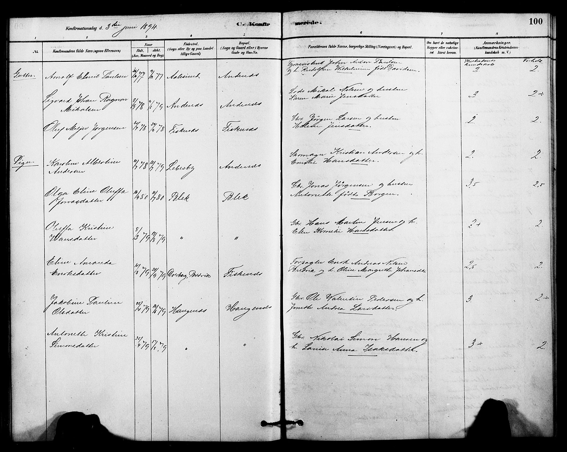 Ministerialprotokoller, klokkerbøker og fødselsregistre - Nordland, AV/SAT-A-1459/899/L1436: Parish register (official) no. 899A04, 1881-1896, p. 100