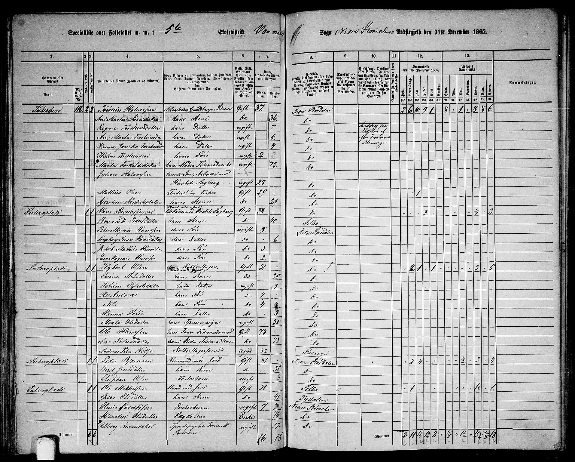 RA, 1865 census for Nedre Stjørdal, 1865, p. 87