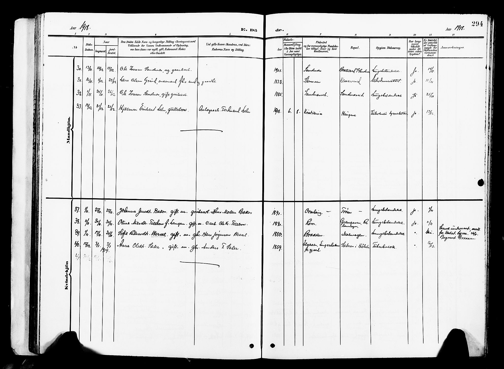 Ministerialprotokoller, klokkerbøker og fødselsregistre - Sør-Trøndelag, SAT/A-1456/681/L0942: Parish register (copy) no. 681C06, 1906-1925, p. 294