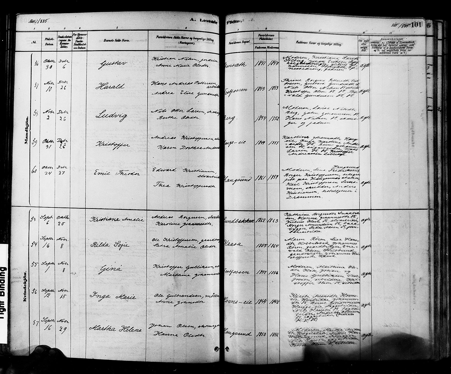 Eiker kirkebøker, AV/SAKO-A-4/F/Fb/L0001: Parish register (official) no. II 1, 1878-1888, p. 101