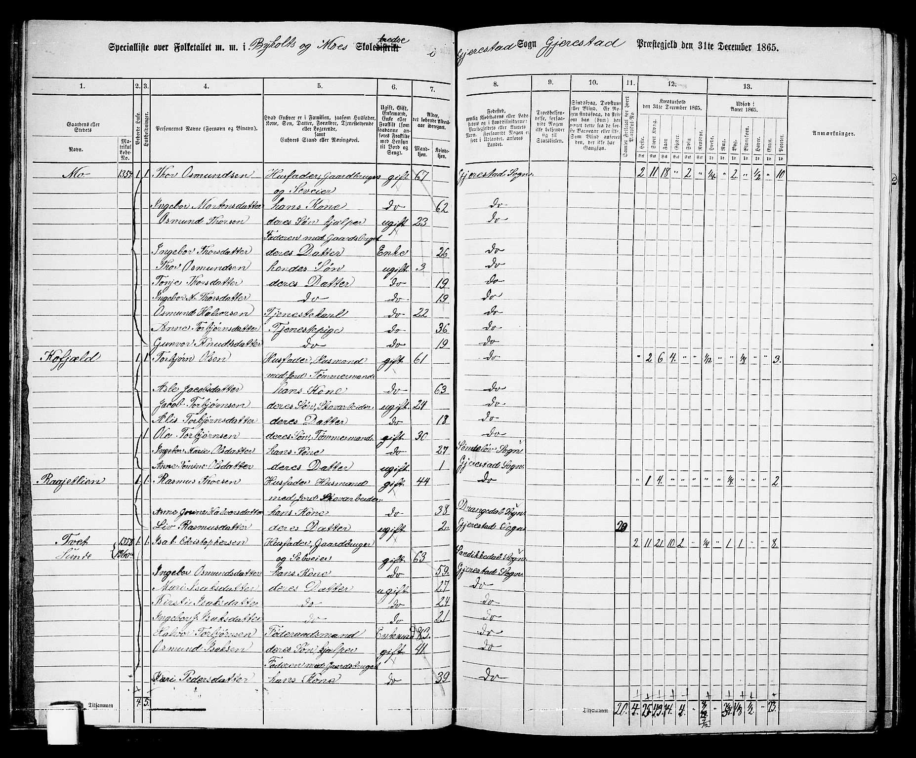 RA, 1865 census for Gjerstad, 1865, p. 46