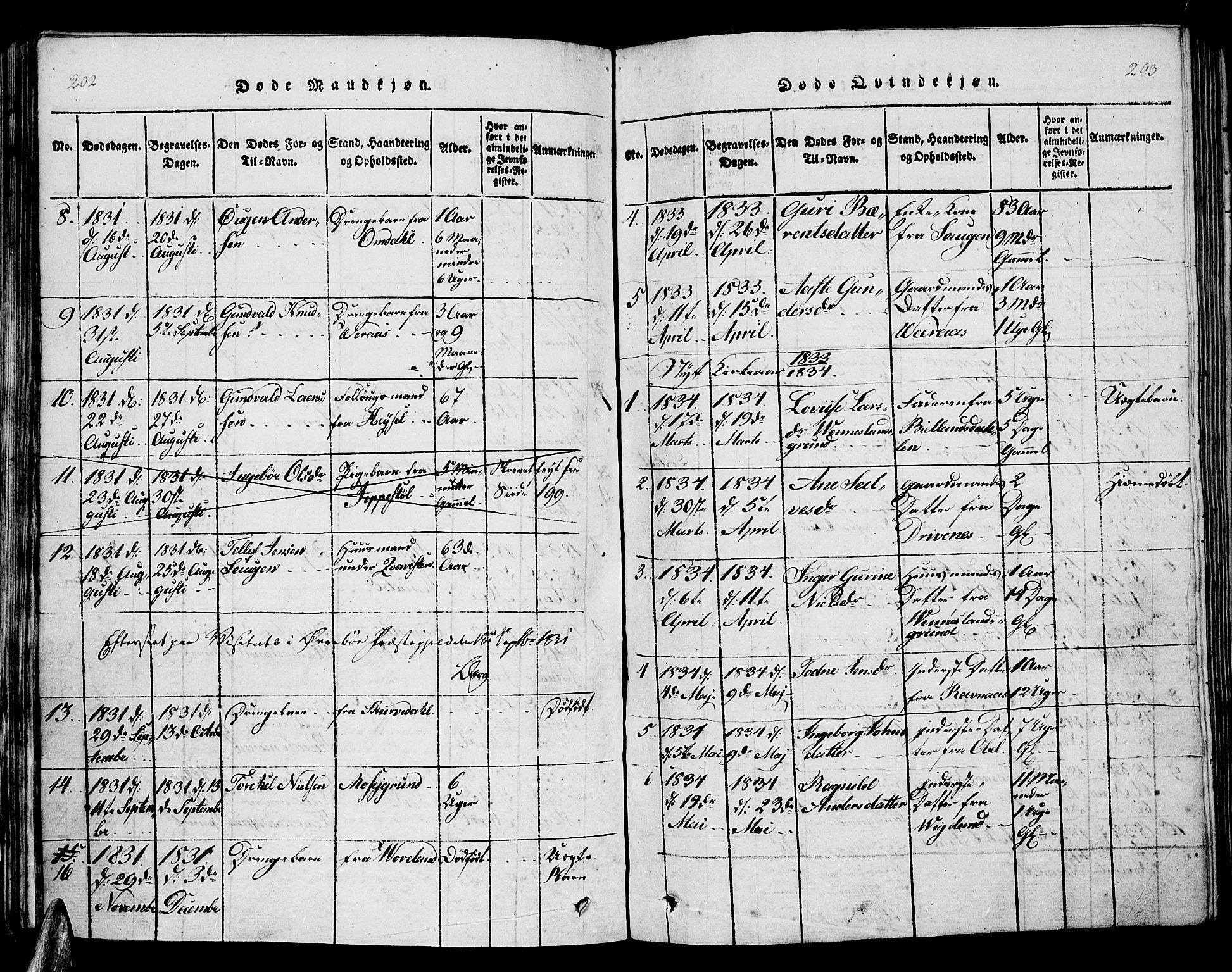 Vennesla sokneprestkontor, AV/SAK-1111-0045/Fb/Fbb/L0001: Parish register (copy) no. B 1, 1820-1834, p. 202-203