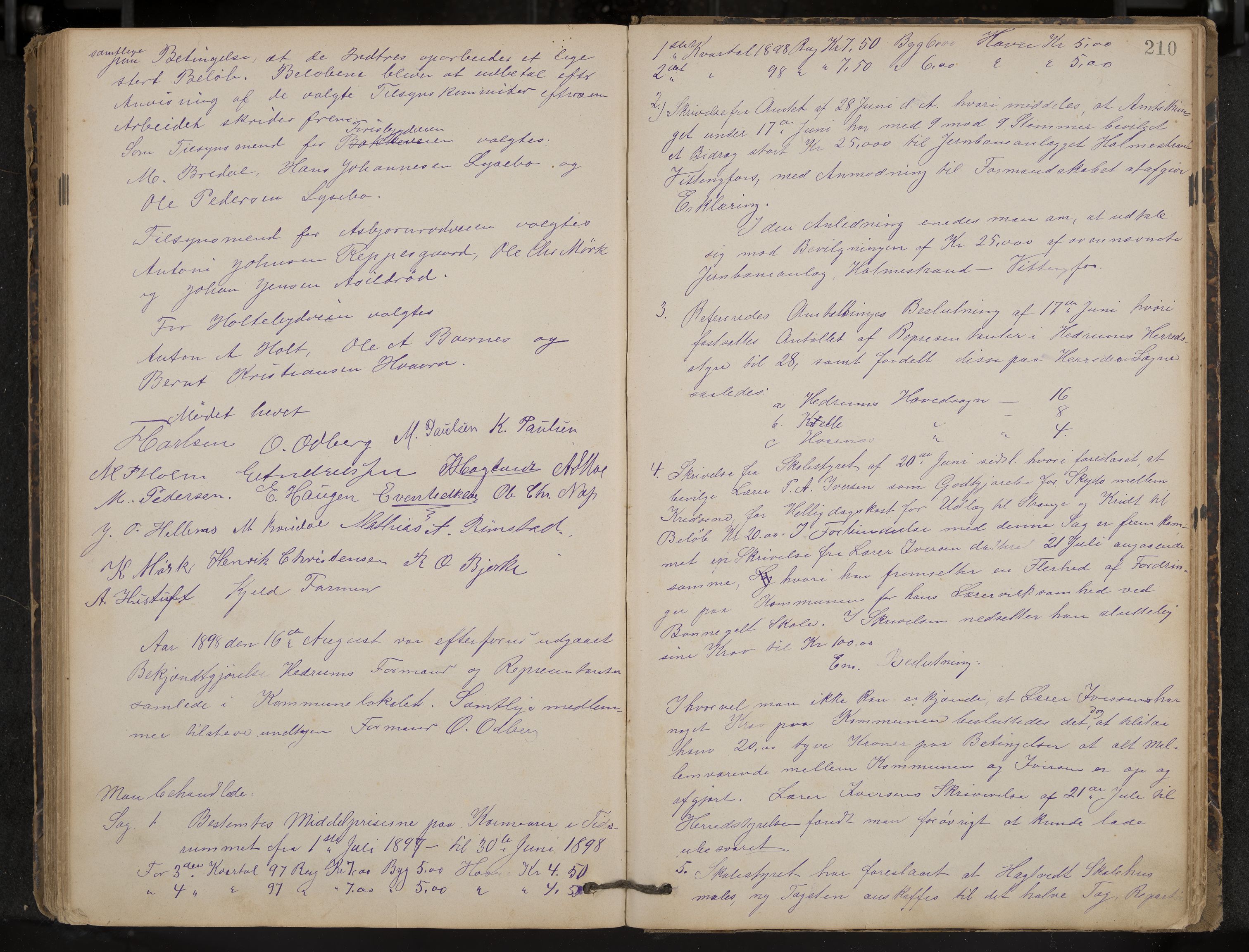 Hedrum formannskap og sentraladministrasjon, IKAK/0727021/A/Aa/L0004: Møtebok, 1888-1899, p. 210