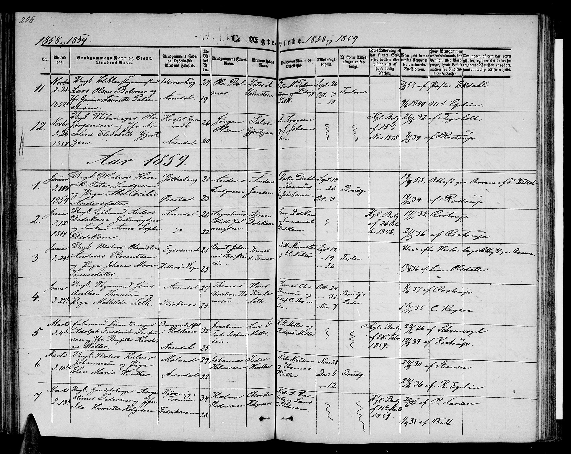 Arendal sokneprestkontor, Trefoldighet, SAK/1111-0040/F/Fb/L0002: Parish register (copy) no. B 2, 1838-1860, p. 206