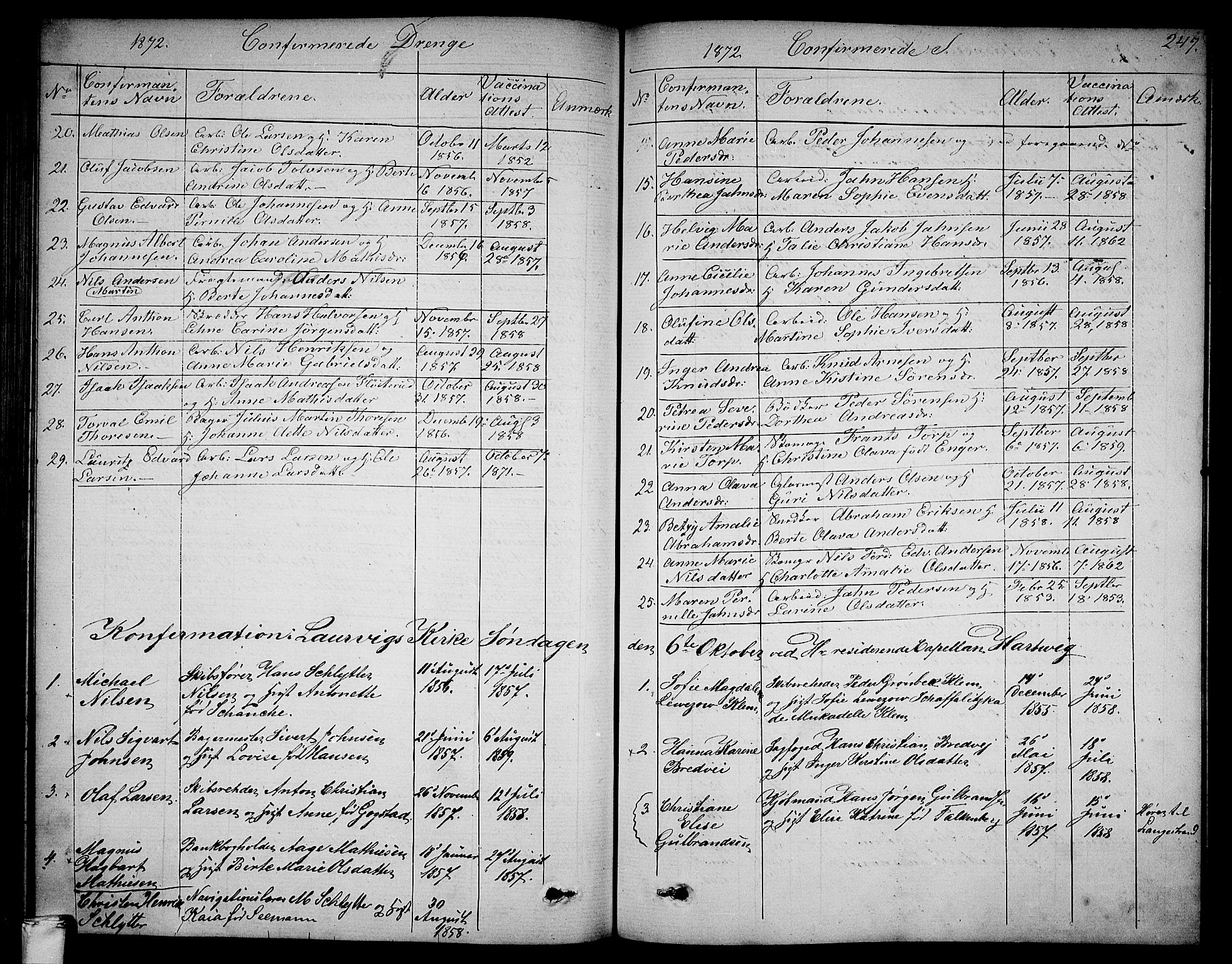 Larvik kirkebøker, SAKO/A-352/G/Ga/L0004: Parish register (copy) no. I 4, 1871-1888, p. 247