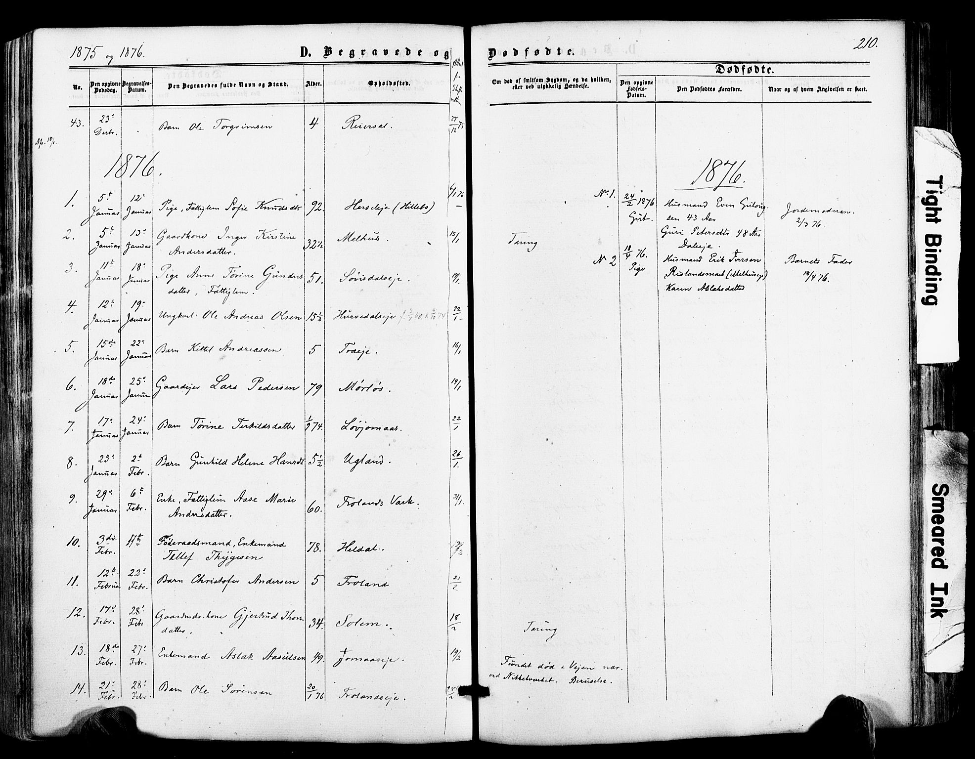 Froland sokneprestkontor, AV/SAK-1111-0013/F/Fa/L0003: Parish register (official) no. A 3, 1864-1881, p. 210