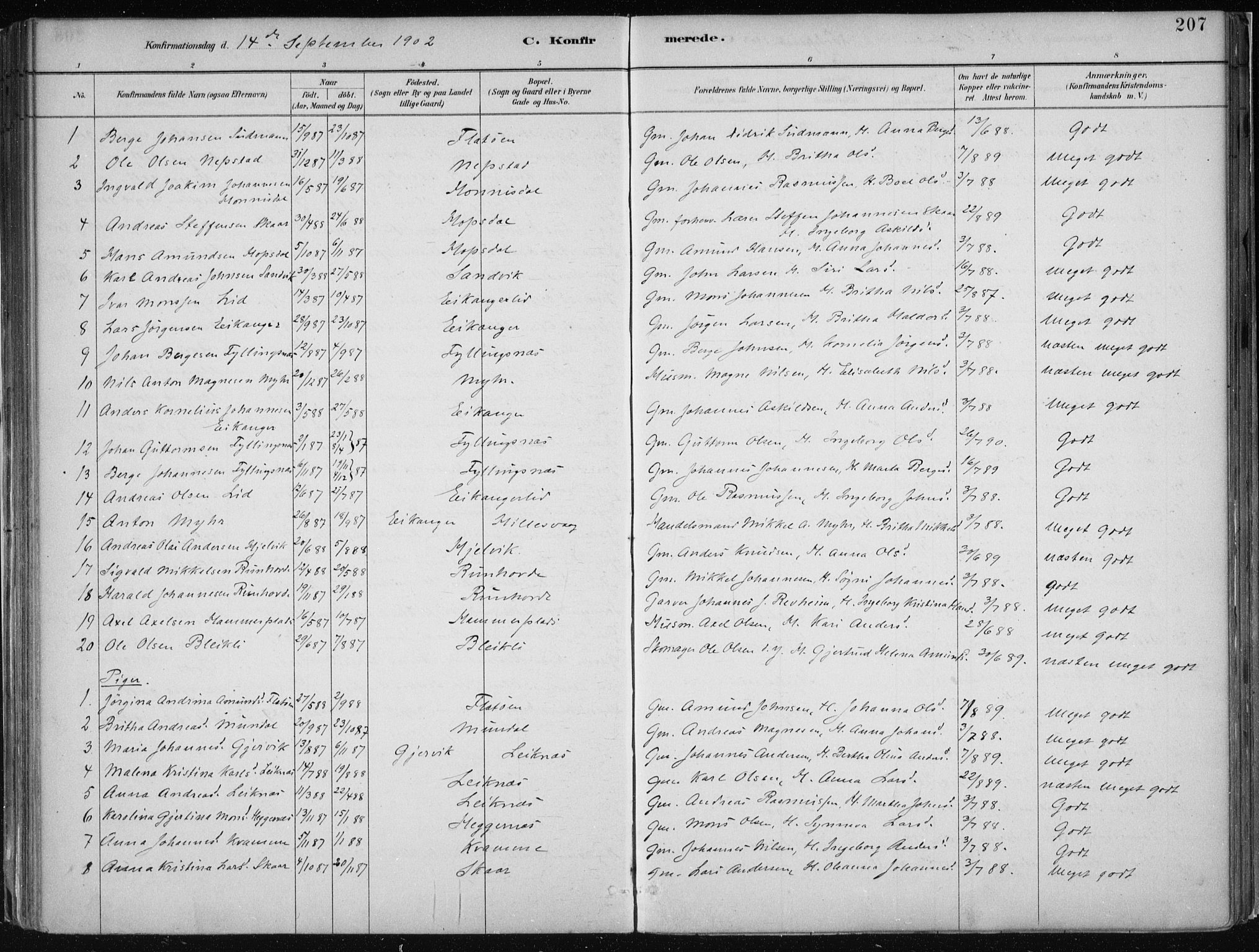 Hamre sokneprestembete, AV/SAB-A-75501/H/Ha/Haa/Haab/L0001: Parish register (official) no. B  1, 1882-1905, p. 207