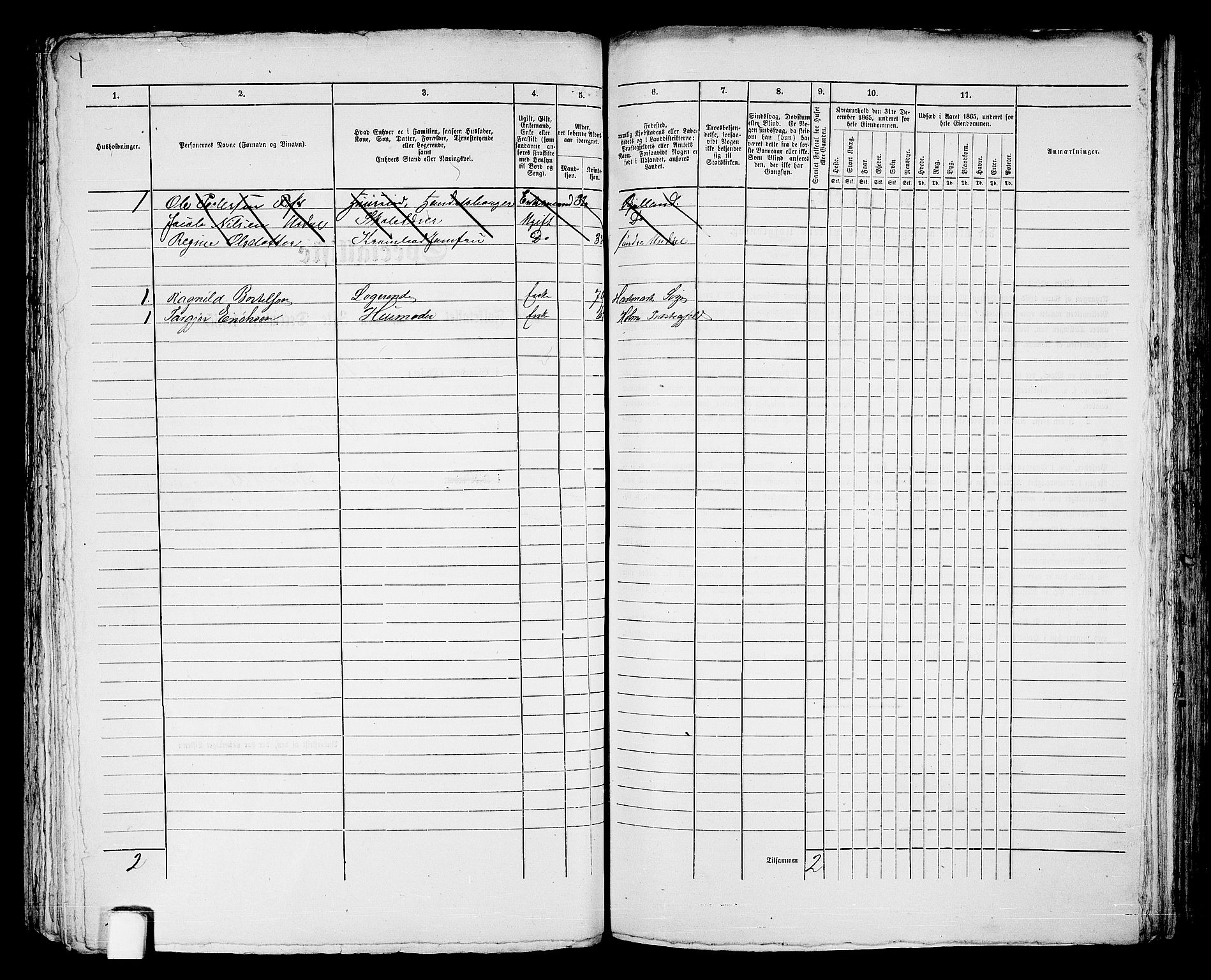 RA, 1865 census for Mandal/Mandal, 1865, p. 733