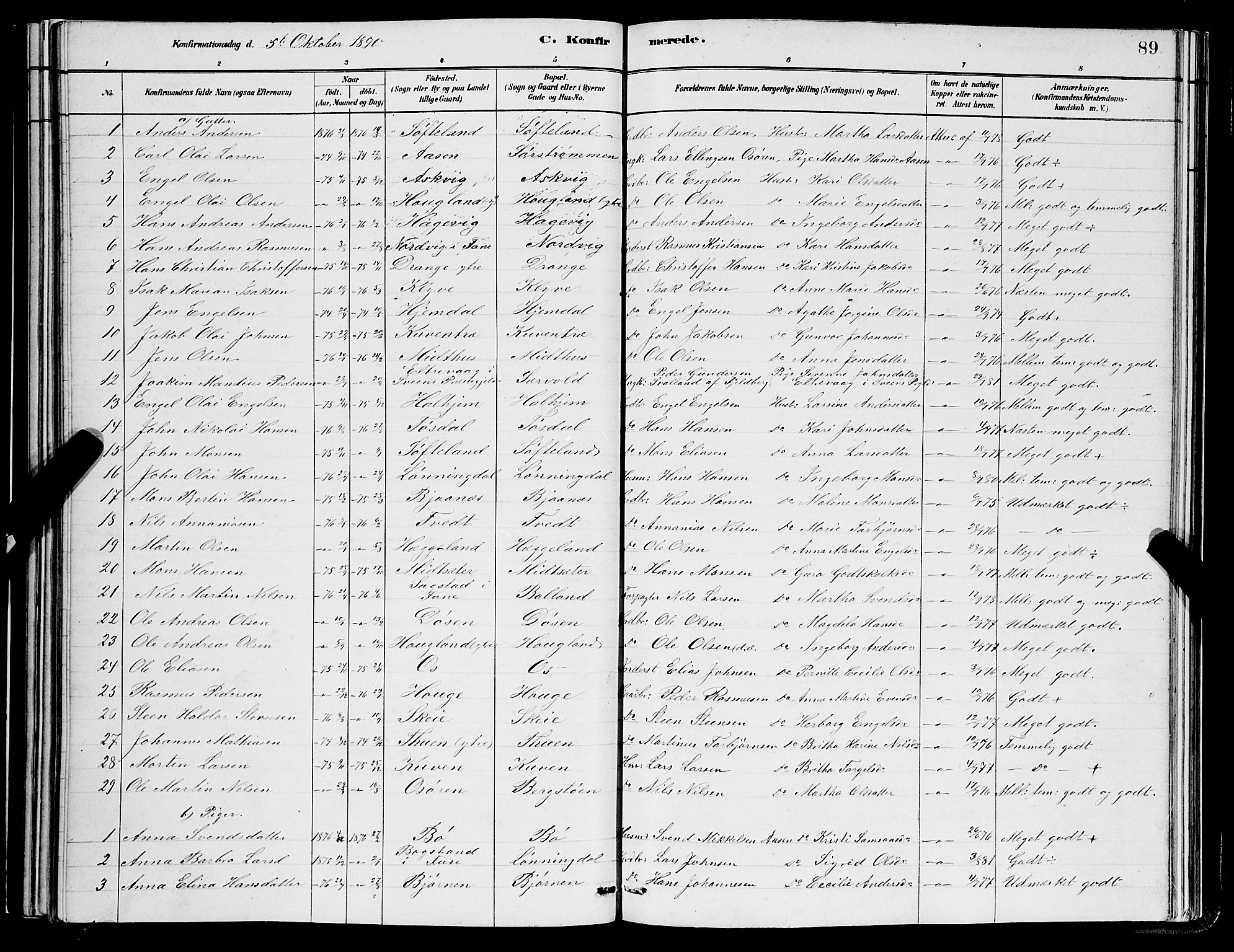 Os sokneprestembete, SAB/A-99929: Parish register (copy) no. A 2, 1880-1896, p. 89