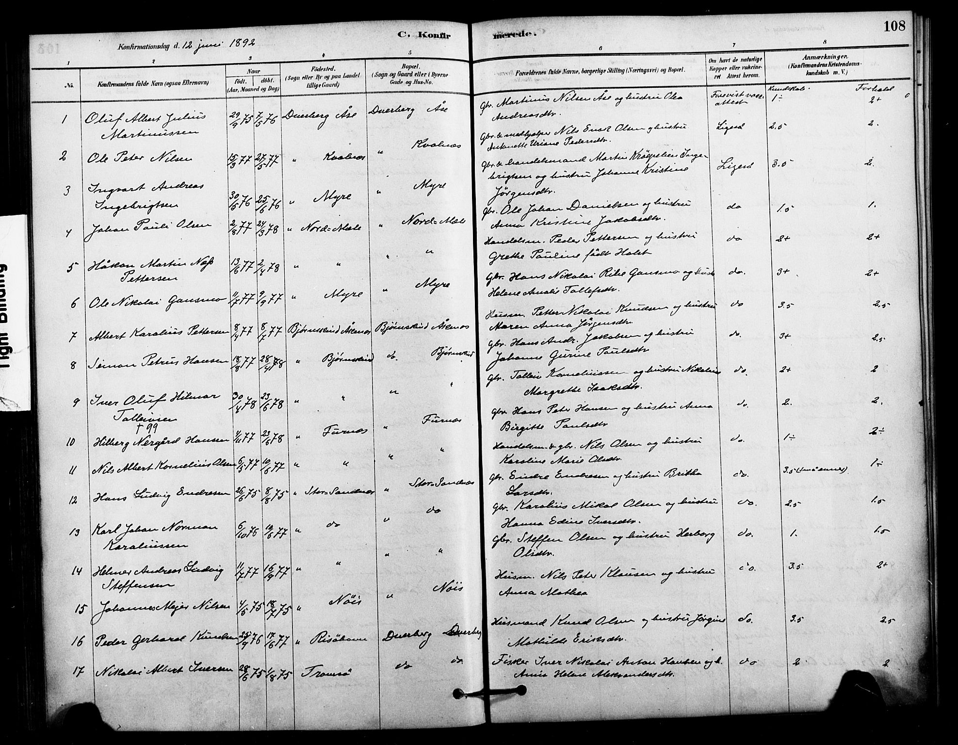 Ministerialprotokoller, klokkerbøker og fødselsregistre - Nordland, AV/SAT-A-1459/897/L1399: Parish register (official) no. 897C06, 1881-1896, p. 108