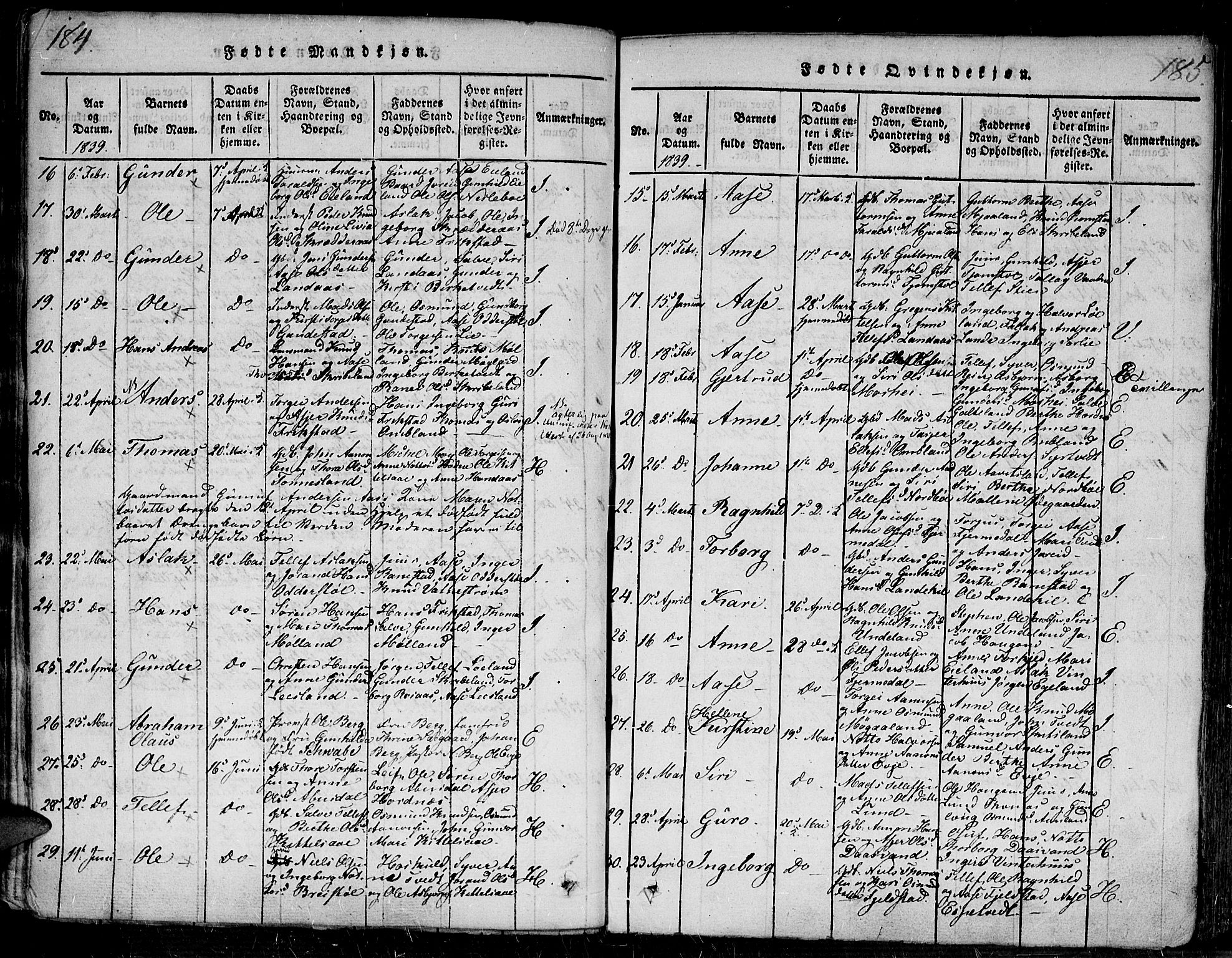Evje sokneprestkontor, SAK/1111-0008/F/Fa/Faa/L0004: Parish register (official) no. A 4, 1816-1840, p. 184-185