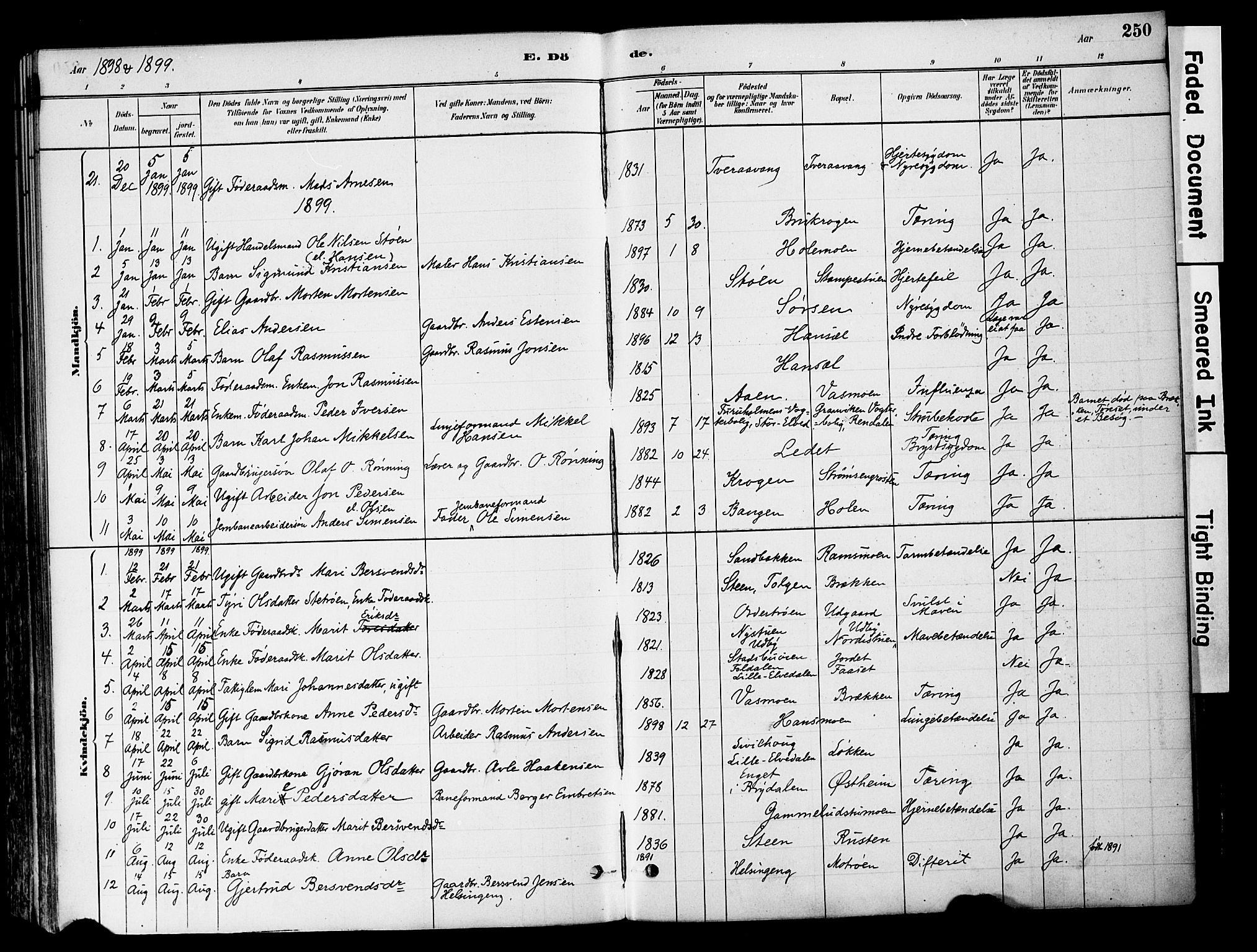 Tynset prestekontor, SAH/PREST-058/H/Ha/Haa/L0022: Parish register (official) no. 22, 1880-1899, p. 250