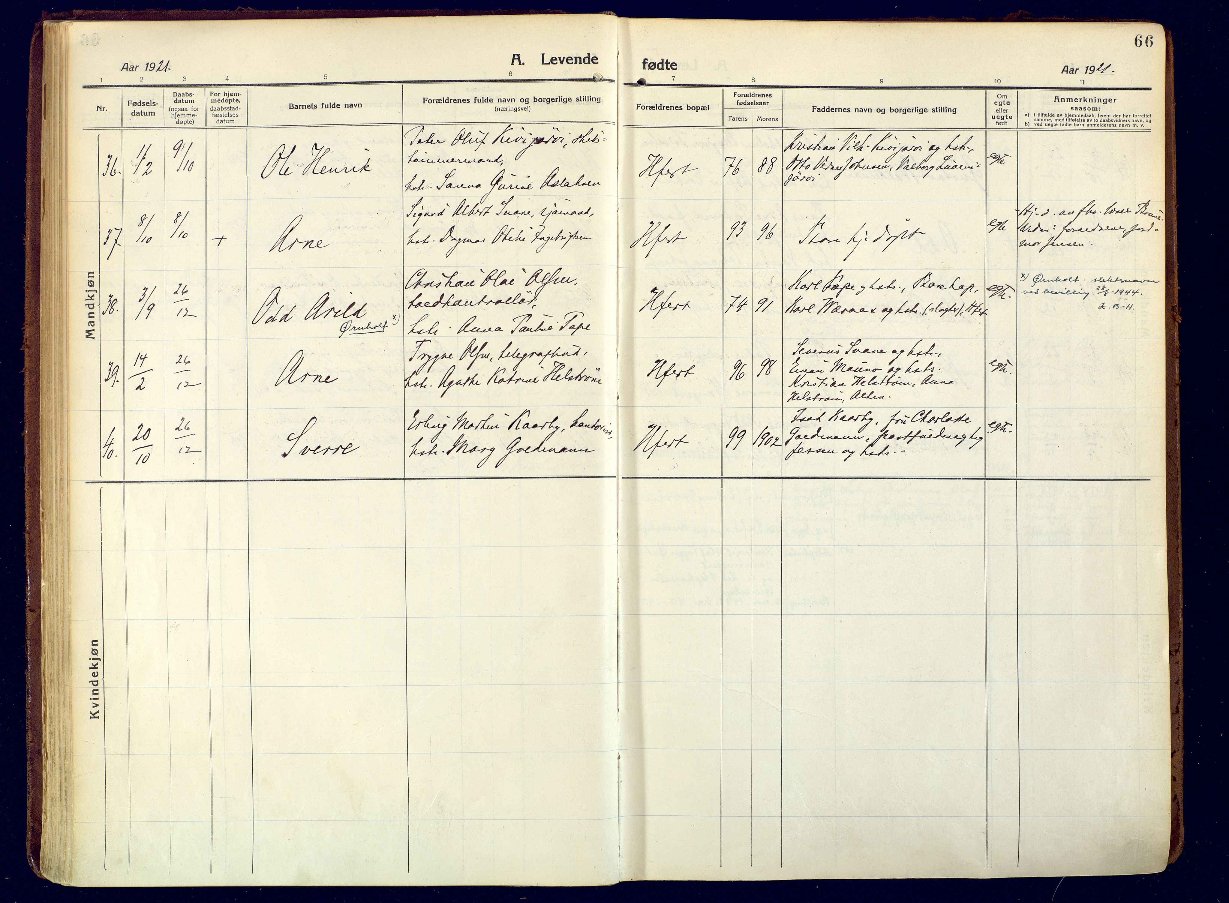 Hammerfest sokneprestkontor, SATØ/S-1347/H/Ha/L0015.kirke: Parish register (official) no. 15, 1916-1923, p. 66