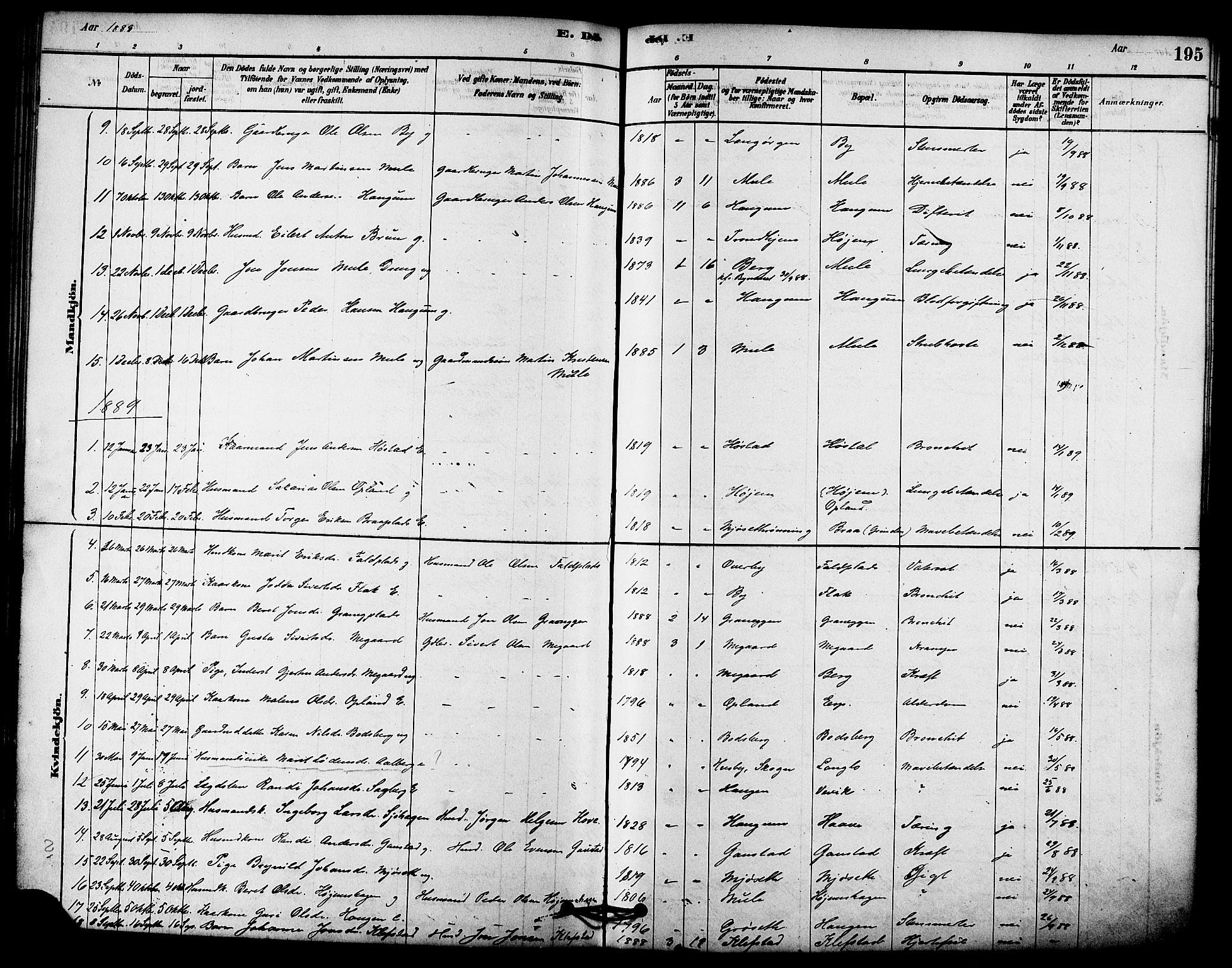 Ministerialprotokoller, klokkerbøker og fødselsregistre - Sør-Trøndelag, SAT/A-1456/612/L0378: Parish register (official) no. 612A10, 1878-1897, p. 195
