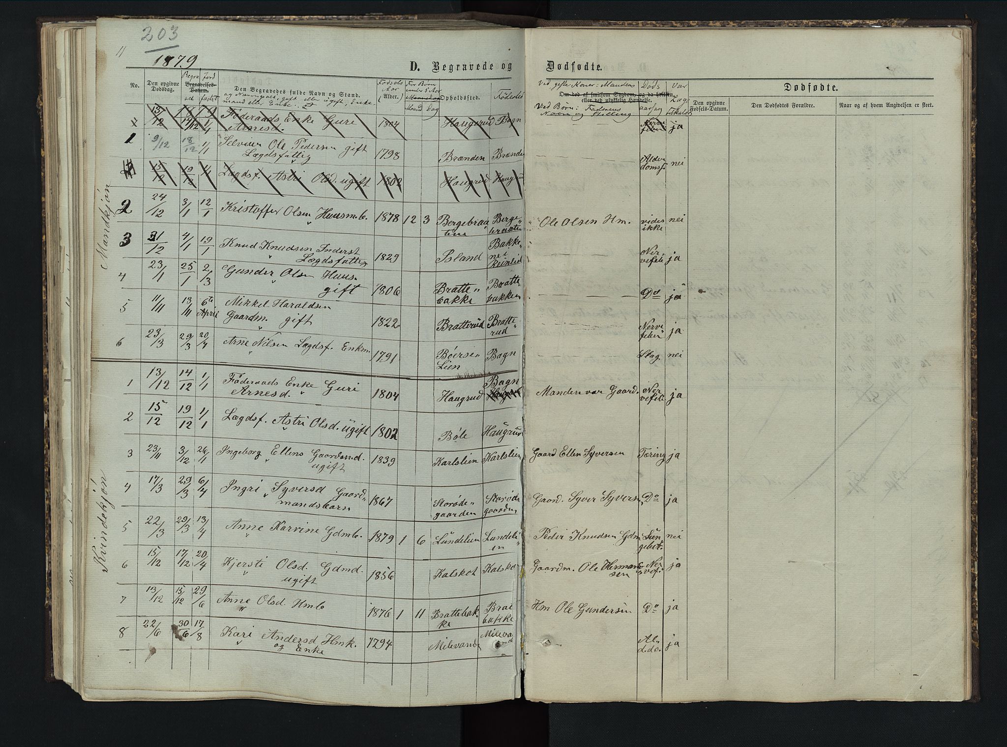 Sør-Aurdal prestekontor, SAH/PREST-128/H/Ha/Hab/L0005: Parish register (copy) no. 5, 1866-1893, p. 203