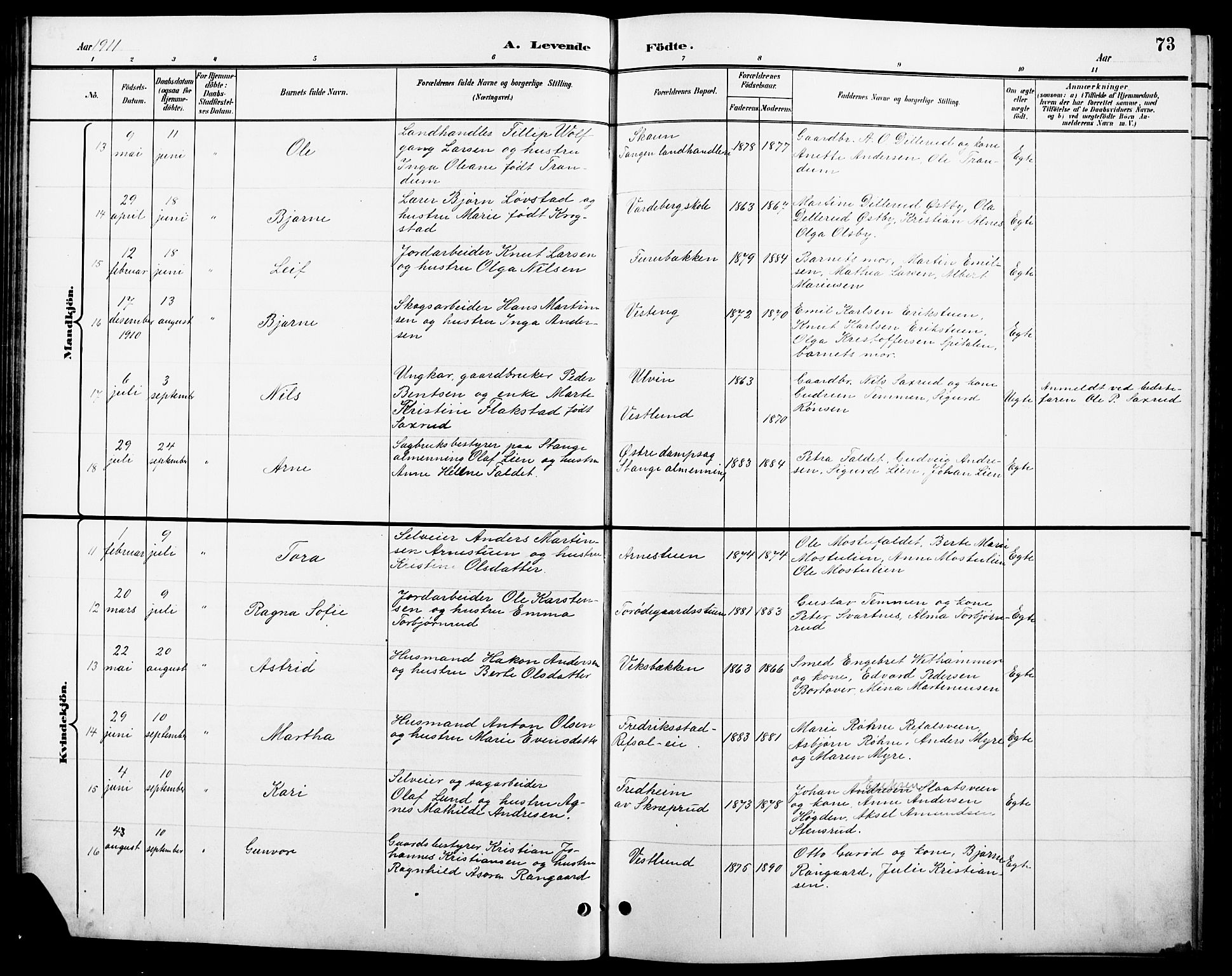 Stange prestekontor, AV/SAH-PREST-002/L/L0011: Parish register (copy) no. 11, 1895-1917, p. 73