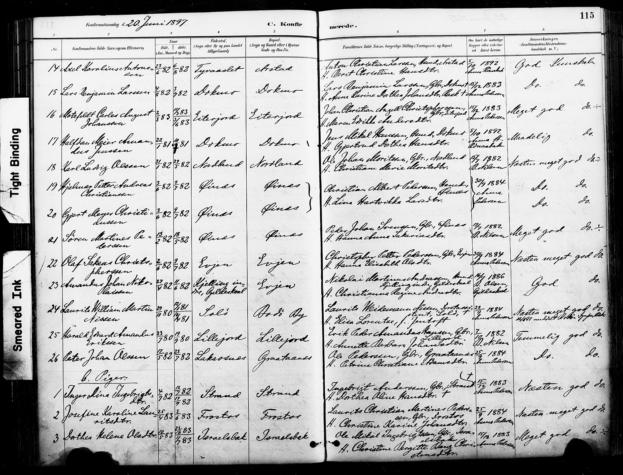 Ministerialprotokoller, klokkerbøker og fødselsregistre - Nordland, AV/SAT-A-1459/846/L0646: Parish register (official) no. 846A04, 1887-1901, p. 115