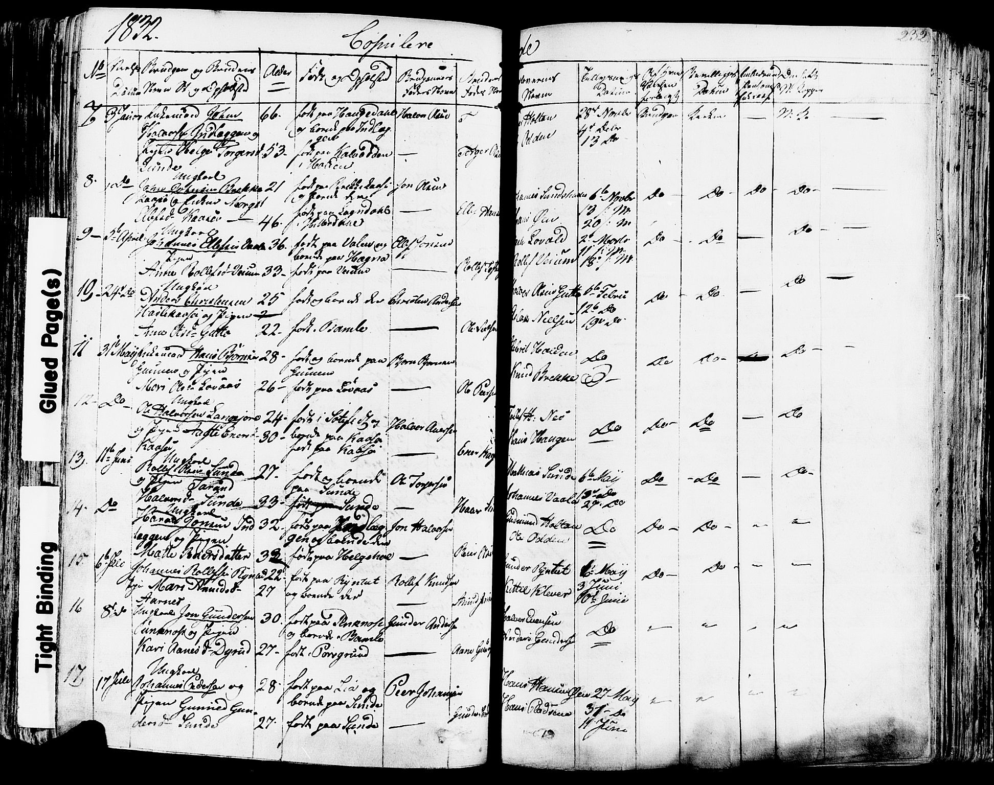 Sauherad kirkebøker, AV/SAKO-A-298/F/Fa/L0006: Parish register (official) no. I 6, 1827-1850, p. 232