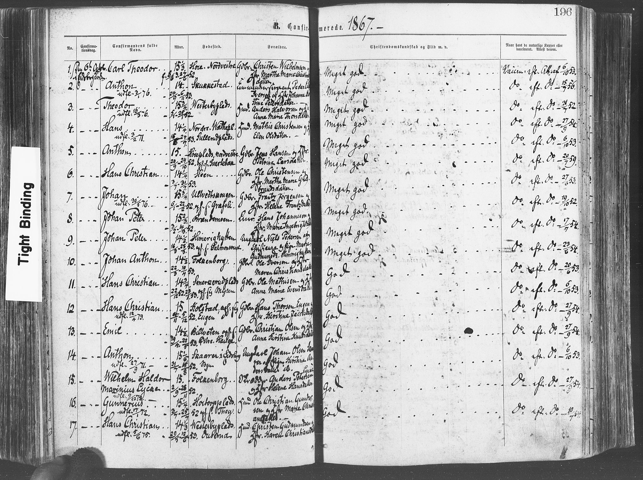 Eidsberg prestekontor Kirkebøker, SAO/A-10905/F/Fa/L0011: Parish register (official) no. I 11, 1867-1878, p. 196