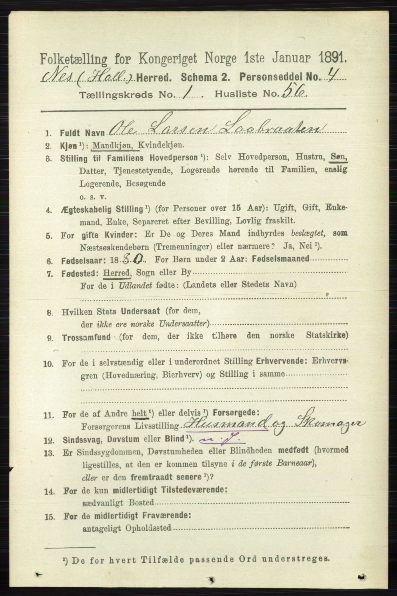 RA, 1891 census for 0616 Nes, 1891, p. 485