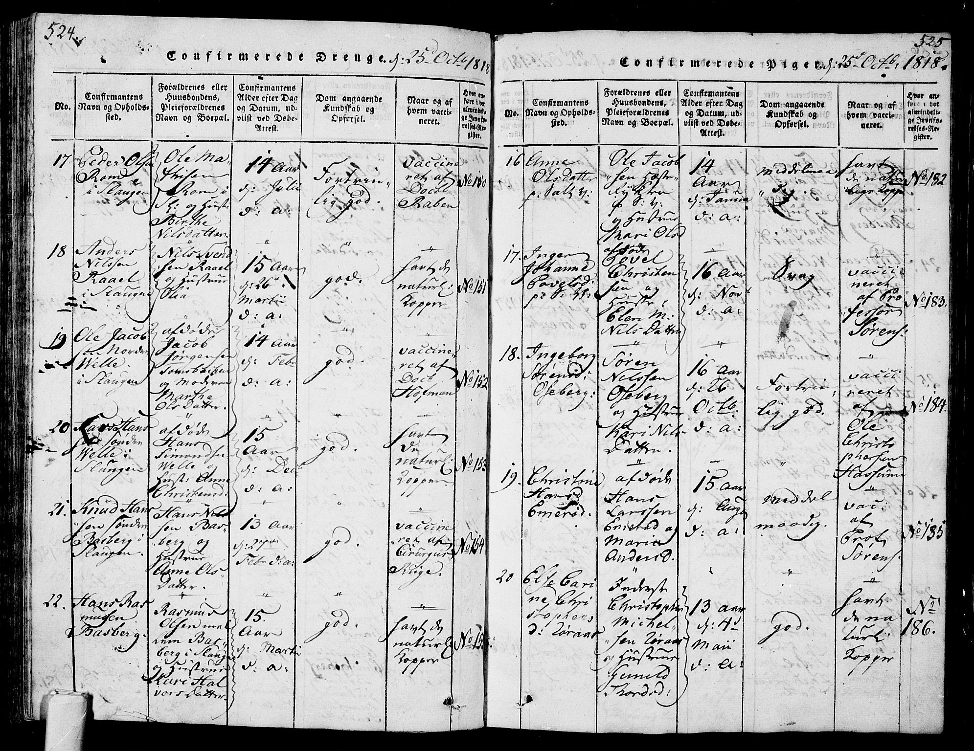 Sem kirkebøker, AV/SAKO-A-5/G/Ga/L0001: Parish register (copy) no. I 1, 1814-1825, p. 524-525