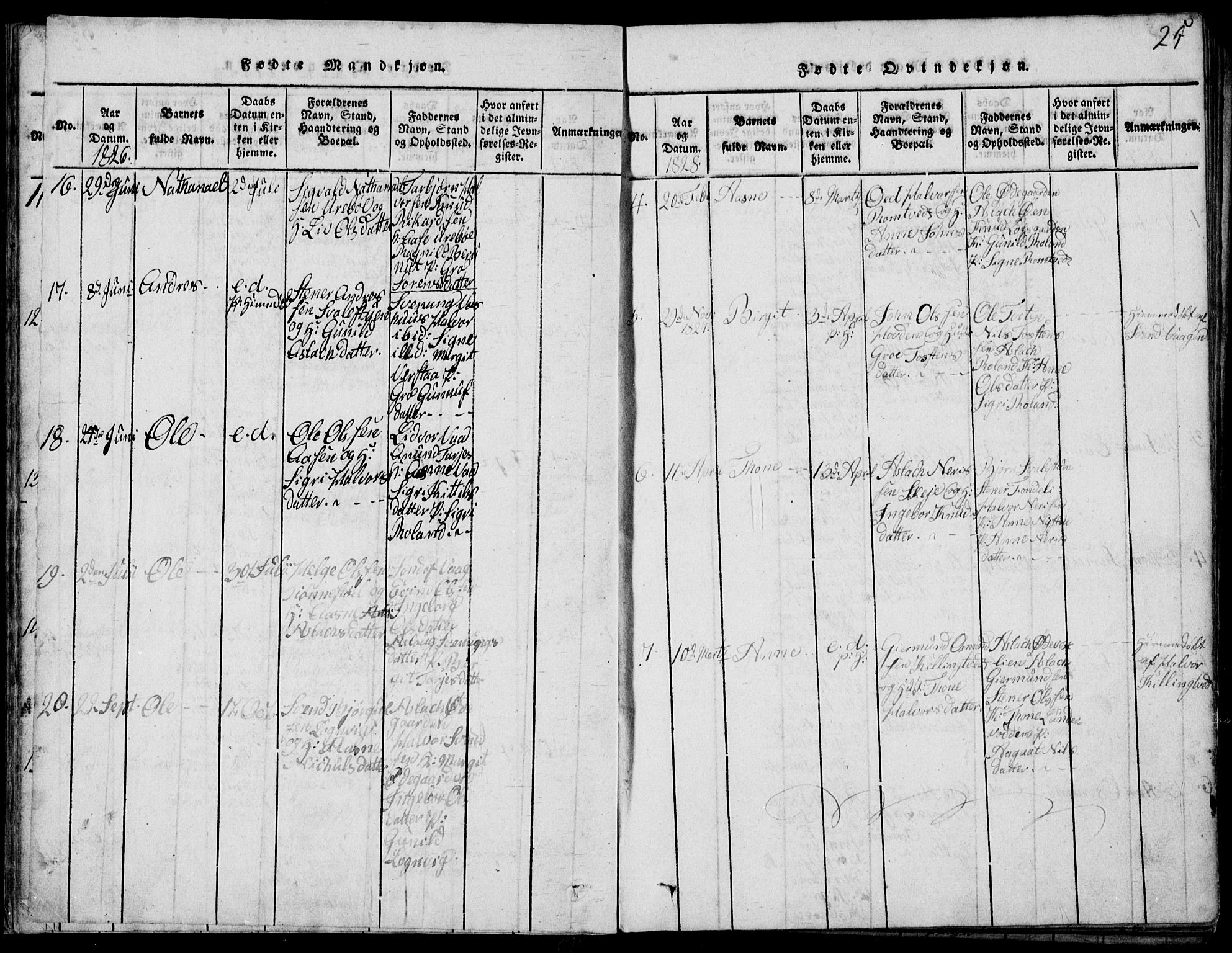 Rauland kirkebøker, AV/SAKO-A-292/G/Ga/L0001: Parish register (copy) no. I 1, 1814-1843, p. 25