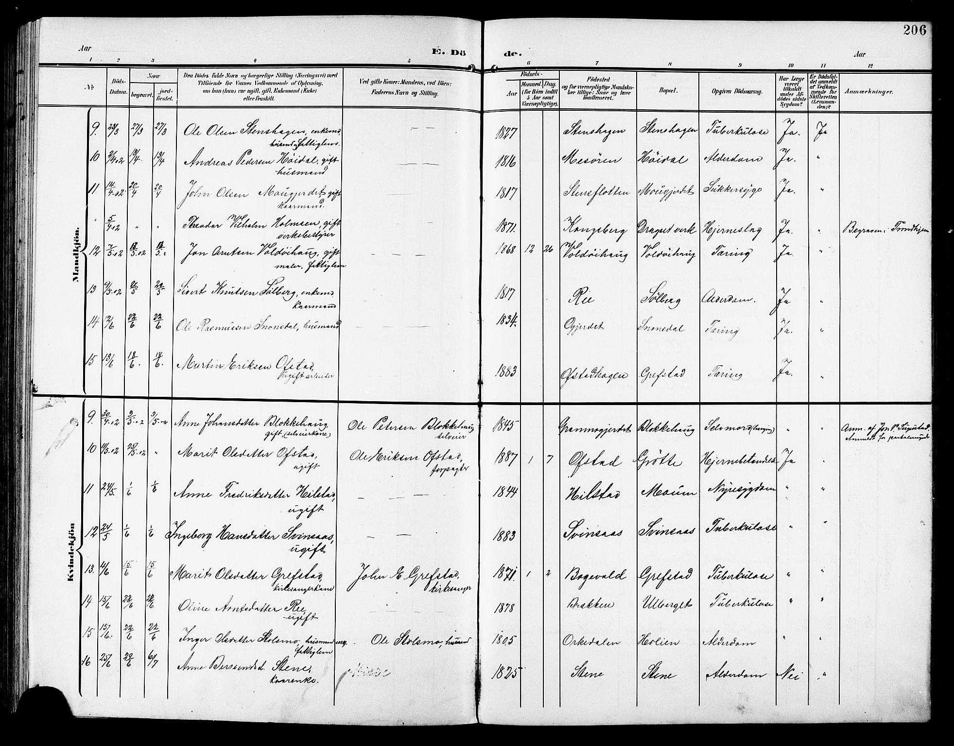 Ministerialprotokoller, klokkerbøker og fødselsregistre - Sør-Trøndelag, AV/SAT-A-1456/672/L0864: Parish register (copy) no. 672C03, 1902-1914, p. 206