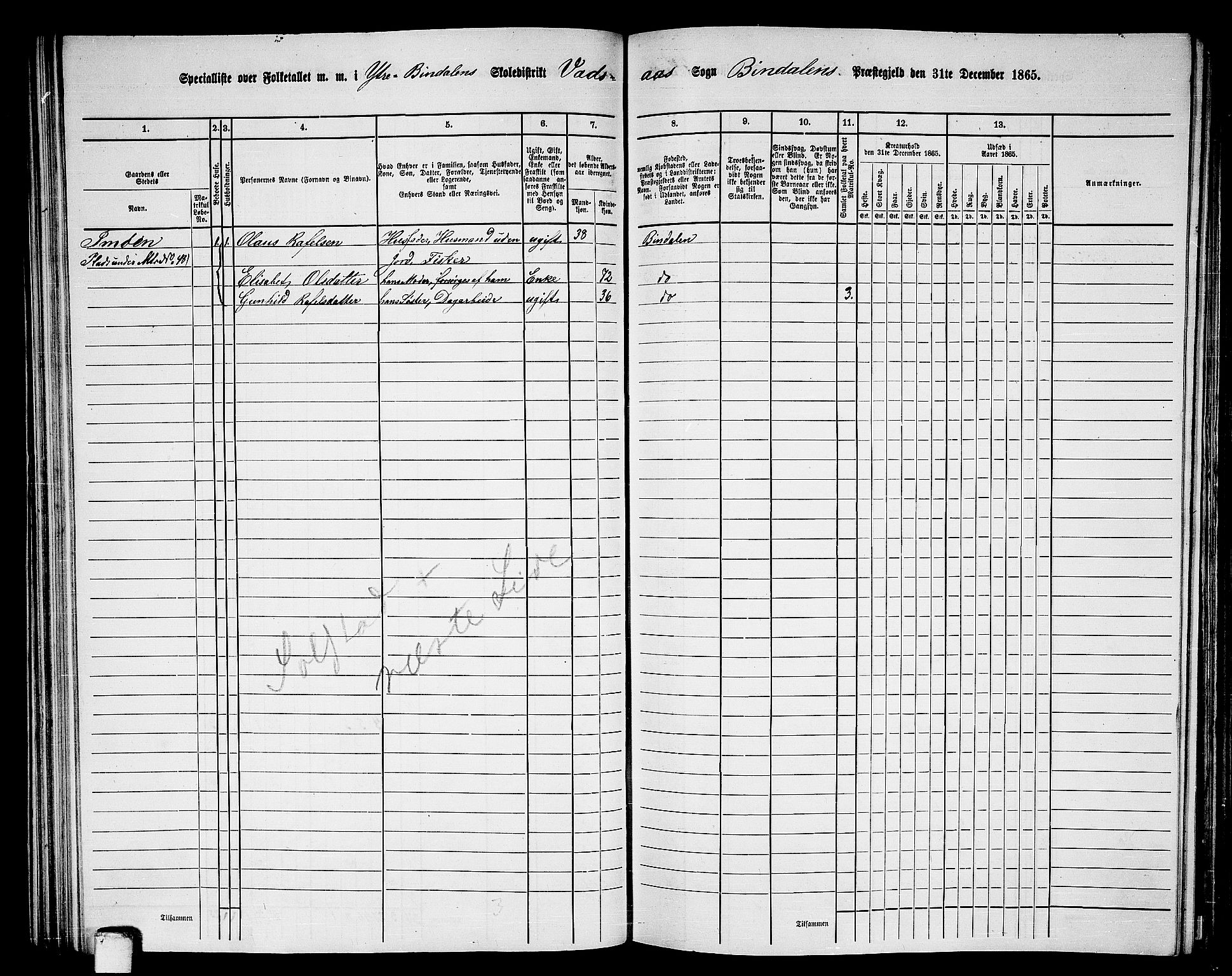 RA, 1865 census for Bindal, 1865, p. 49