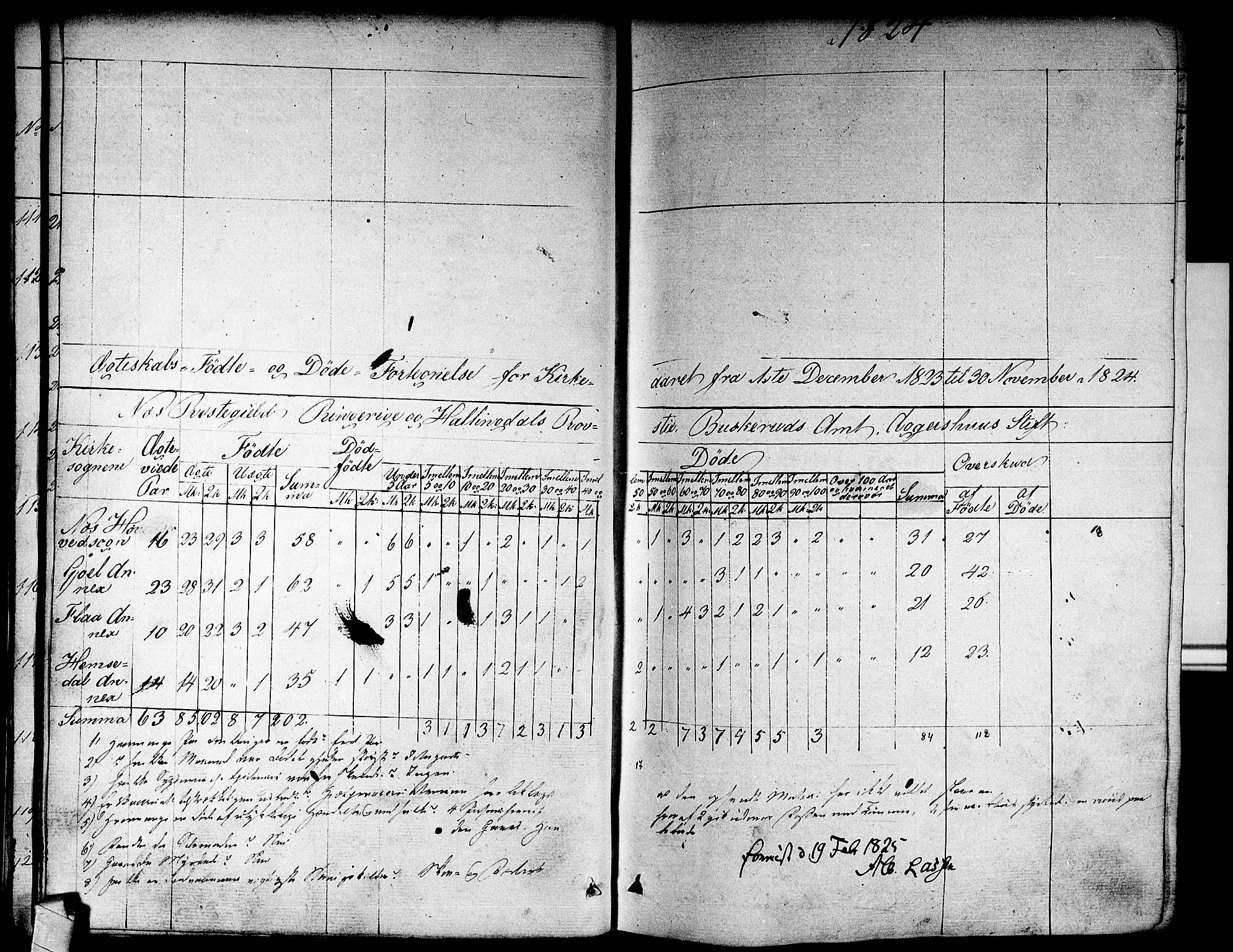 Nes kirkebøker, SAKO/A-236/F/Fa/L0008: Parish register (official) no. 8, 1824-1834, p. 42-43