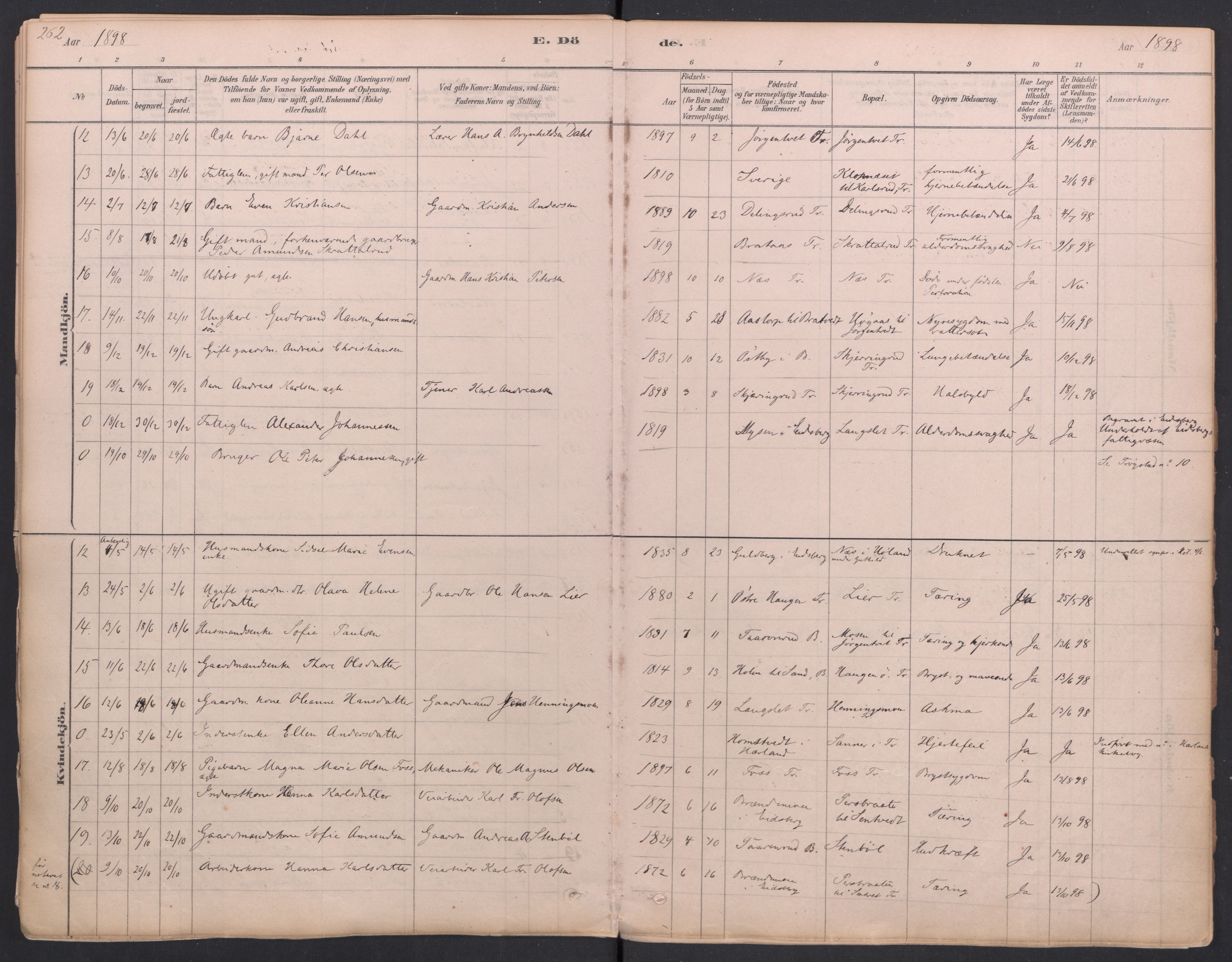Trøgstad prestekontor Kirkebøker, SAO/A-10925/F/Fa/L0010: Parish register (official) no. I 10, 1878-1898, p. 262