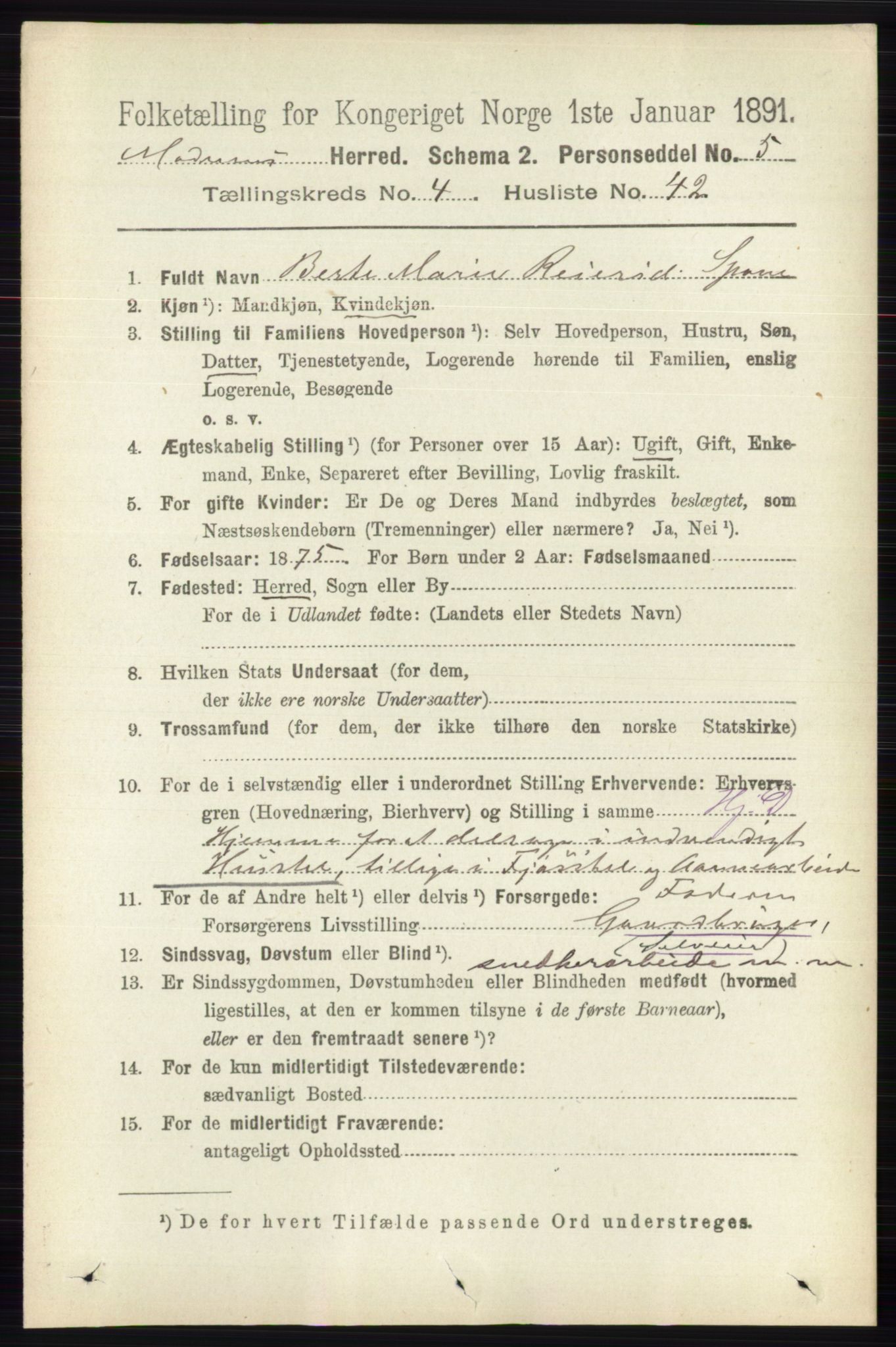 RA, 1891 census for 0623 Modum, 1891, p. 1248