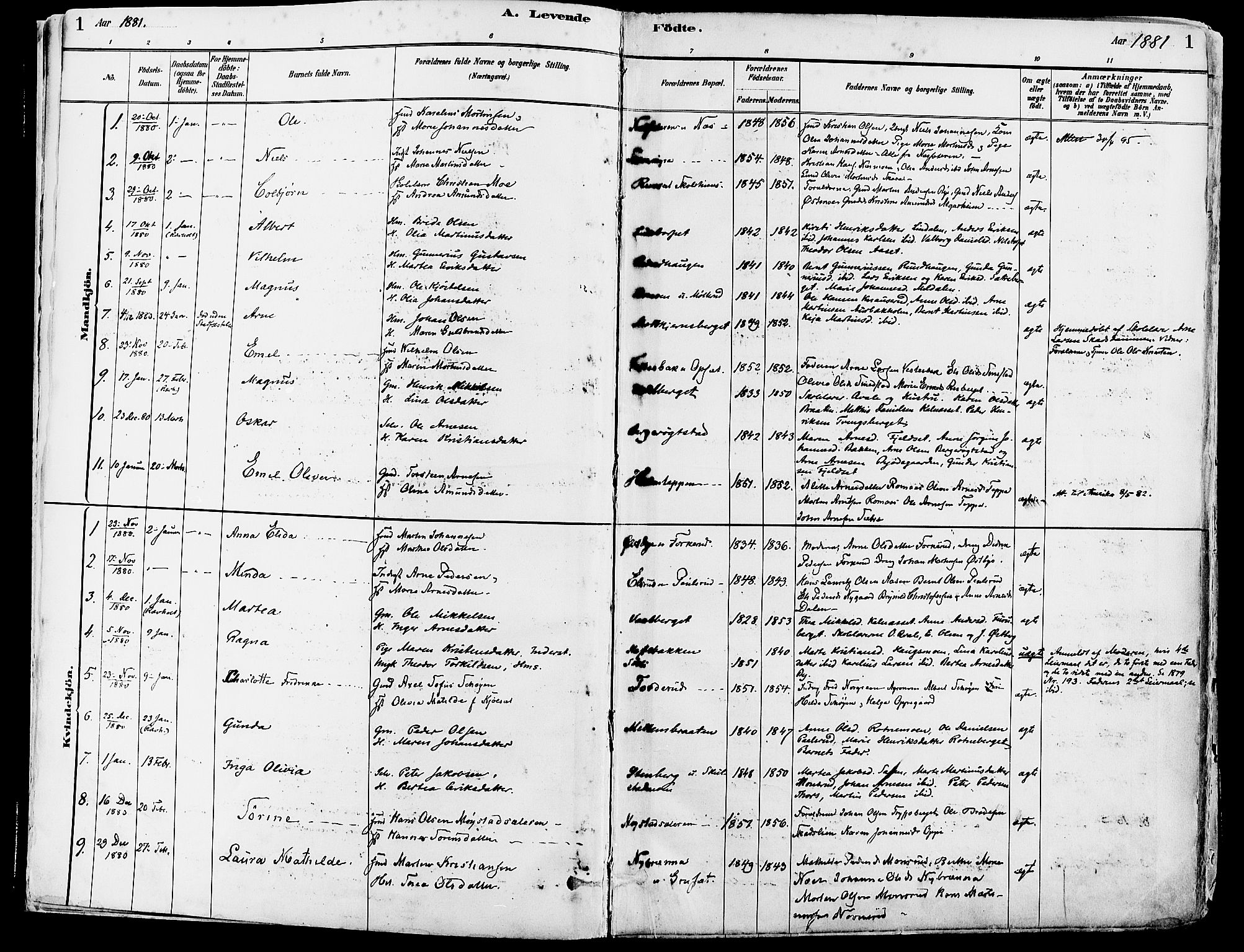 Grue prestekontor, SAH/PREST-036/H/Ha/Haa/L0012: Parish register (official) no. 12, 1881-1897, p. 1