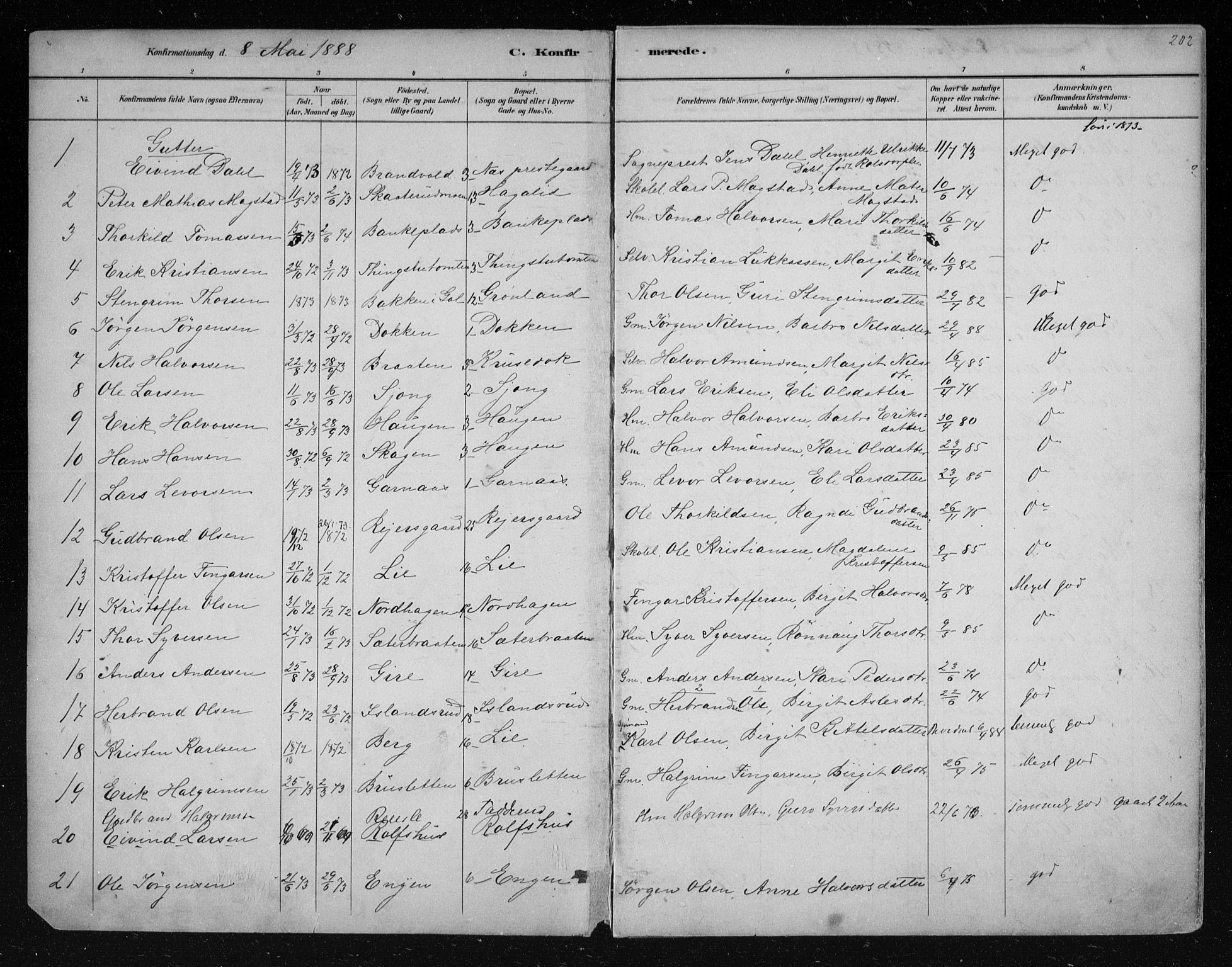 Nes kirkebøker, AV/SAKO-A-236/F/Fa/L0011: Parish register (official) no. 11, 1881-1912, p. 202