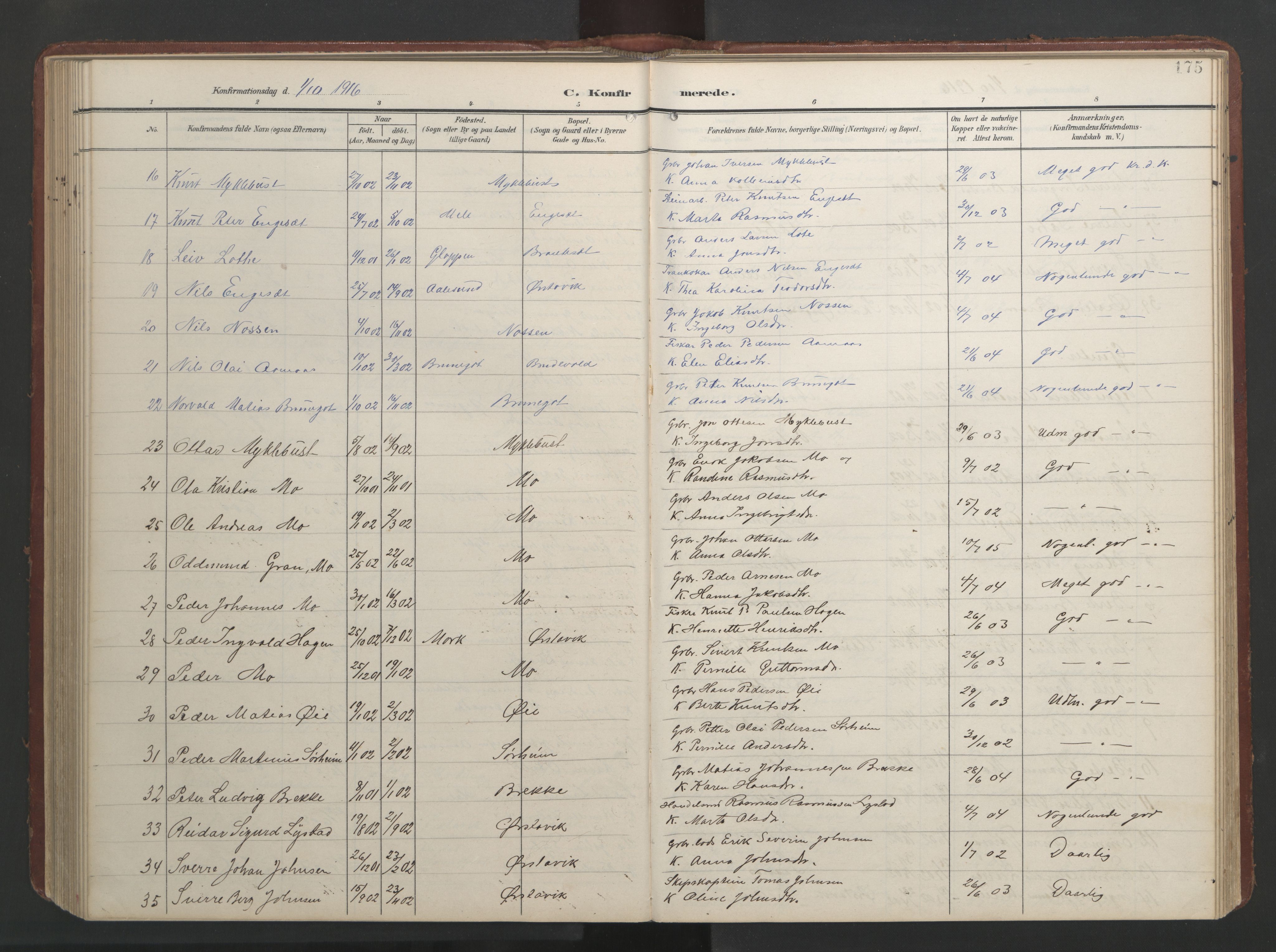 Ministerialprotokoller, klokkerbøker og fødselsregistre - Møre og Romsdal, AV/SAT-A-1454/513/L0190: Parish register (copy) no. 513C04, 1904-1926, p. 175