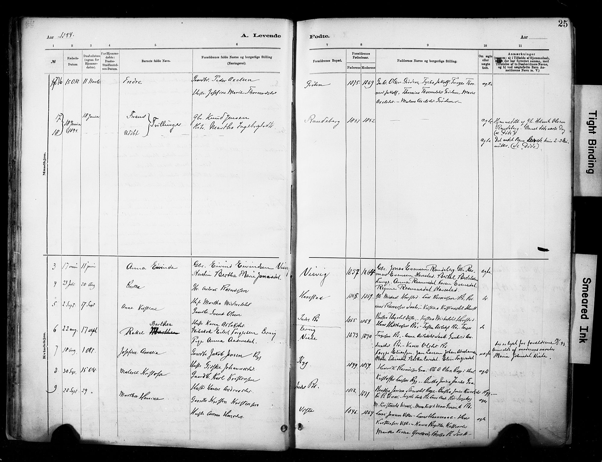Hetland sokneprestkontor, SAST/A-101826/30/30BA/L0009: Parish register (official) no. A 9, 1882-1918, p. 25