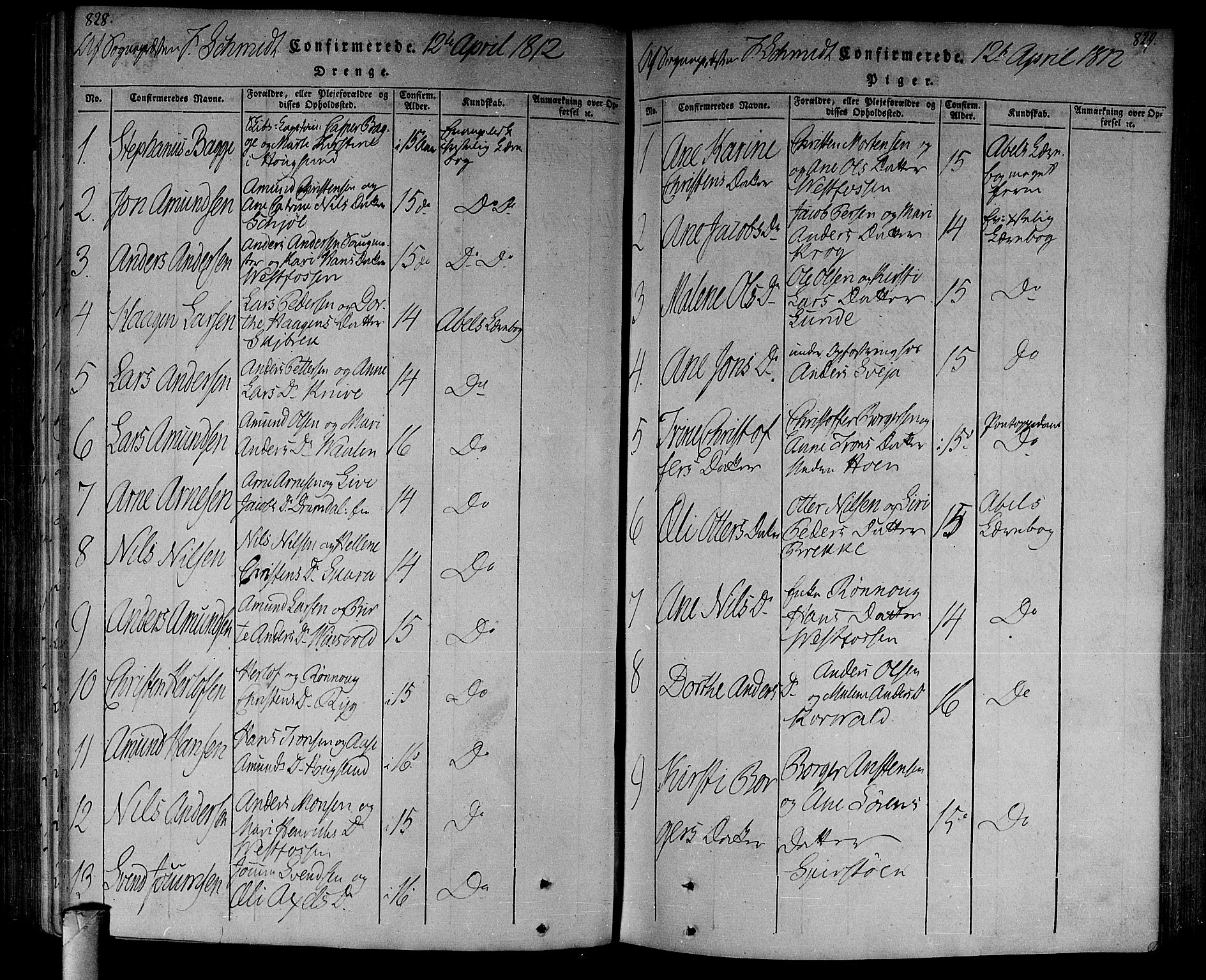 Eiker kirkebøker, AV/SAKO-A-4/F/Fa/L0010: Parish register (official) no. I 10, 1806-1815, p. 828-829