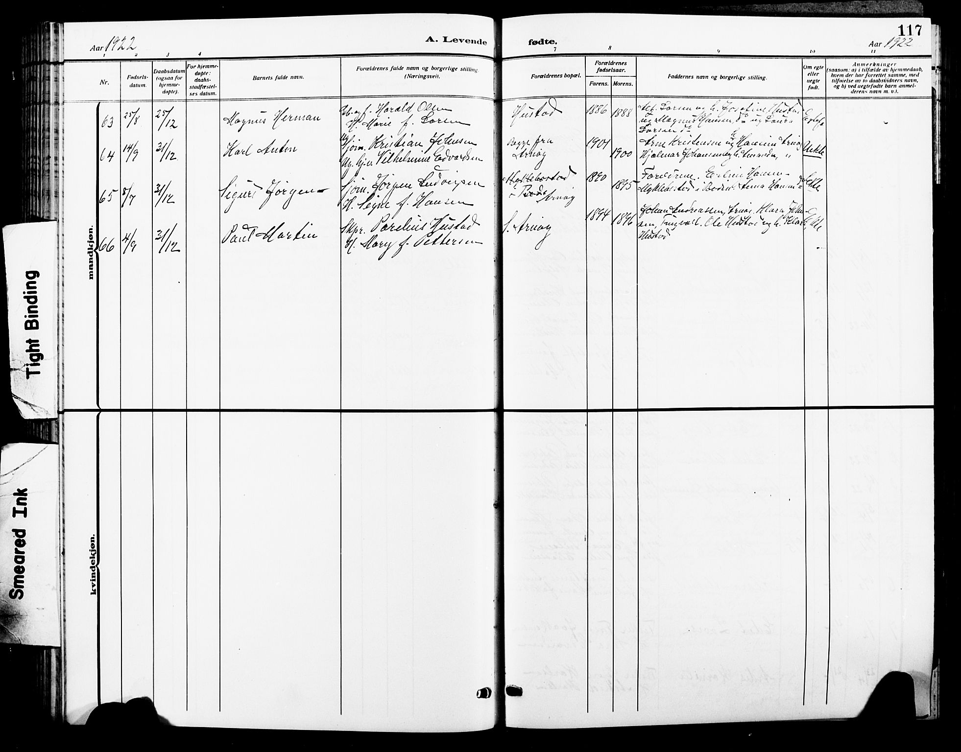 Ministerialprotokoller, klokkerbøker og fødselsregistre - Nordland, AV/SAT-A-1459/805/L0110: Parish register (copy) no. 805C06, 1909-1924, p. 117