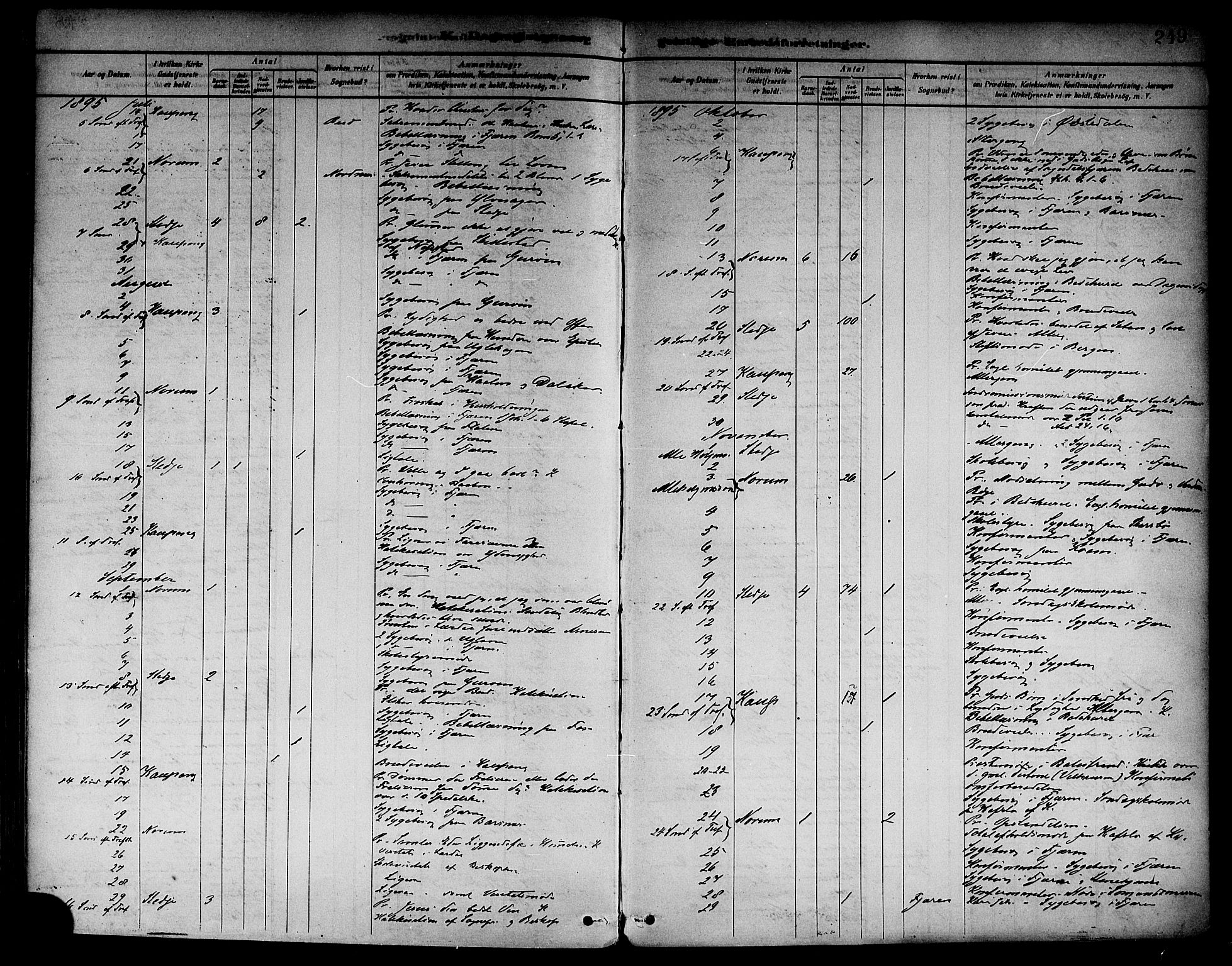 Sogndal sokneprestembete, AV/SAB-A-81301/H/Haa/Haab/L0001: Parish register (official) no. B 1, 1878-1899, p. 249