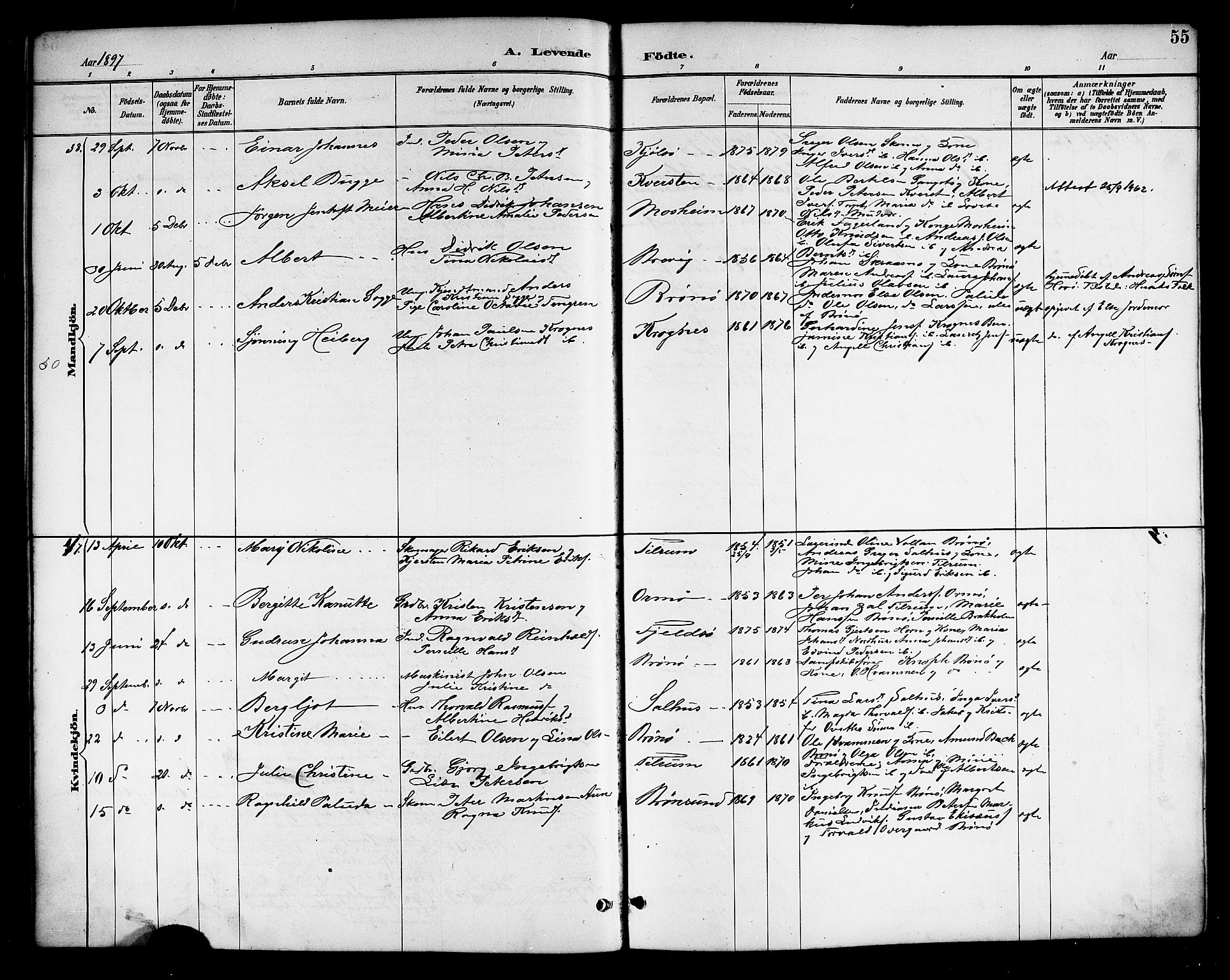 Ministerialprotokoller, klokkerbøker og fødselsregistre - Nordland, SAT/A-1459/813/L0213: Parish register (copy) no. 813C05, 1887-1903, p. 55