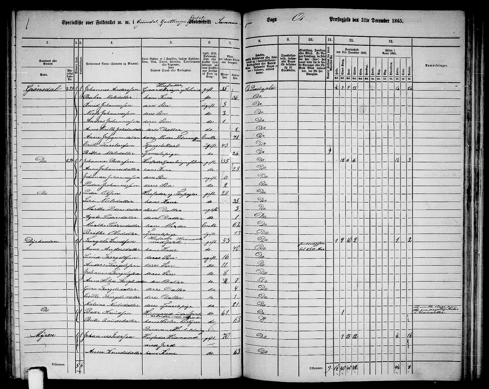 RA, 1865 census for Os, 1865, p. 154